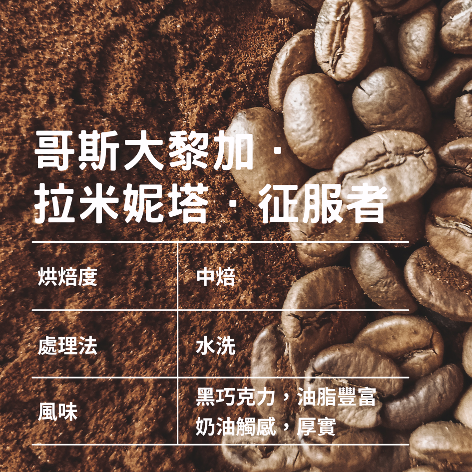 哥斯大黎加．拉米妮塔．征服者/水洗