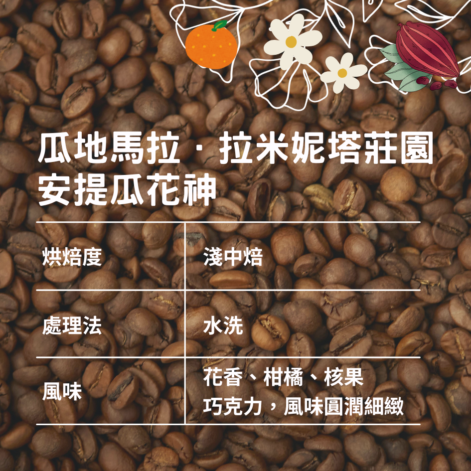 瓜地馬拉．拉米妮塔莊園．安提瓜花神/水洗