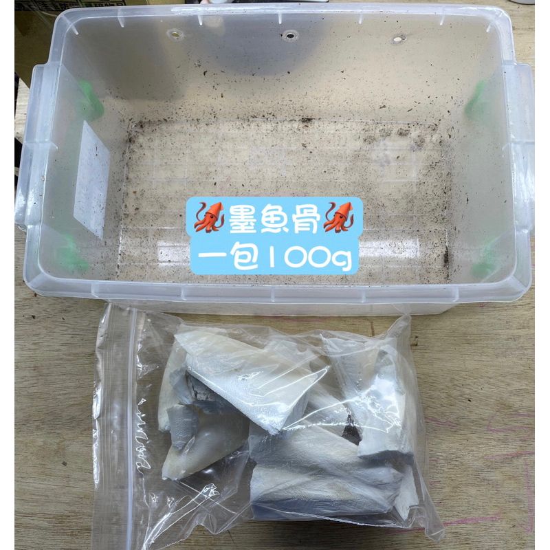 鼠婦飼養相關耗材