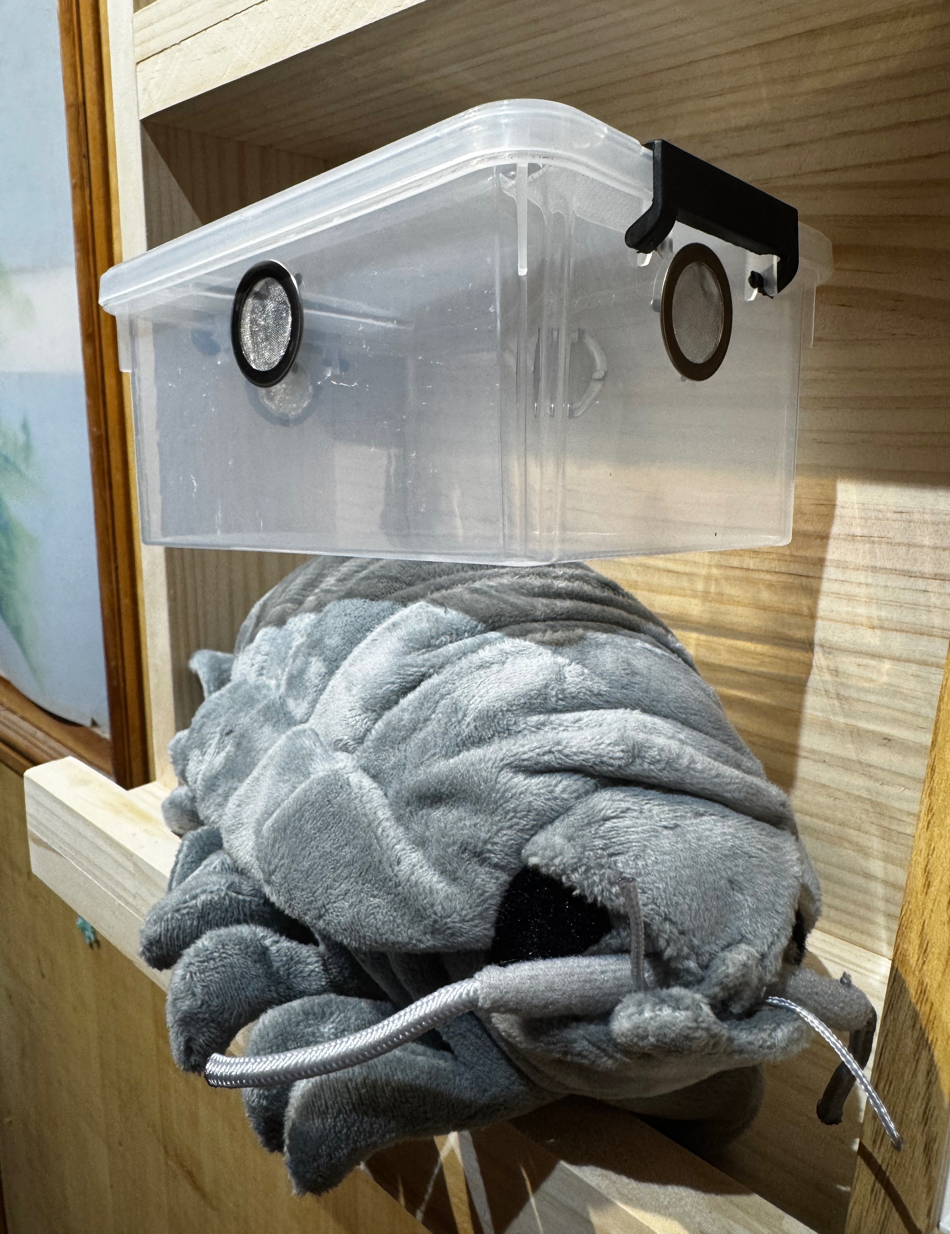 「高級」新手飼養組合（內容物如圖）