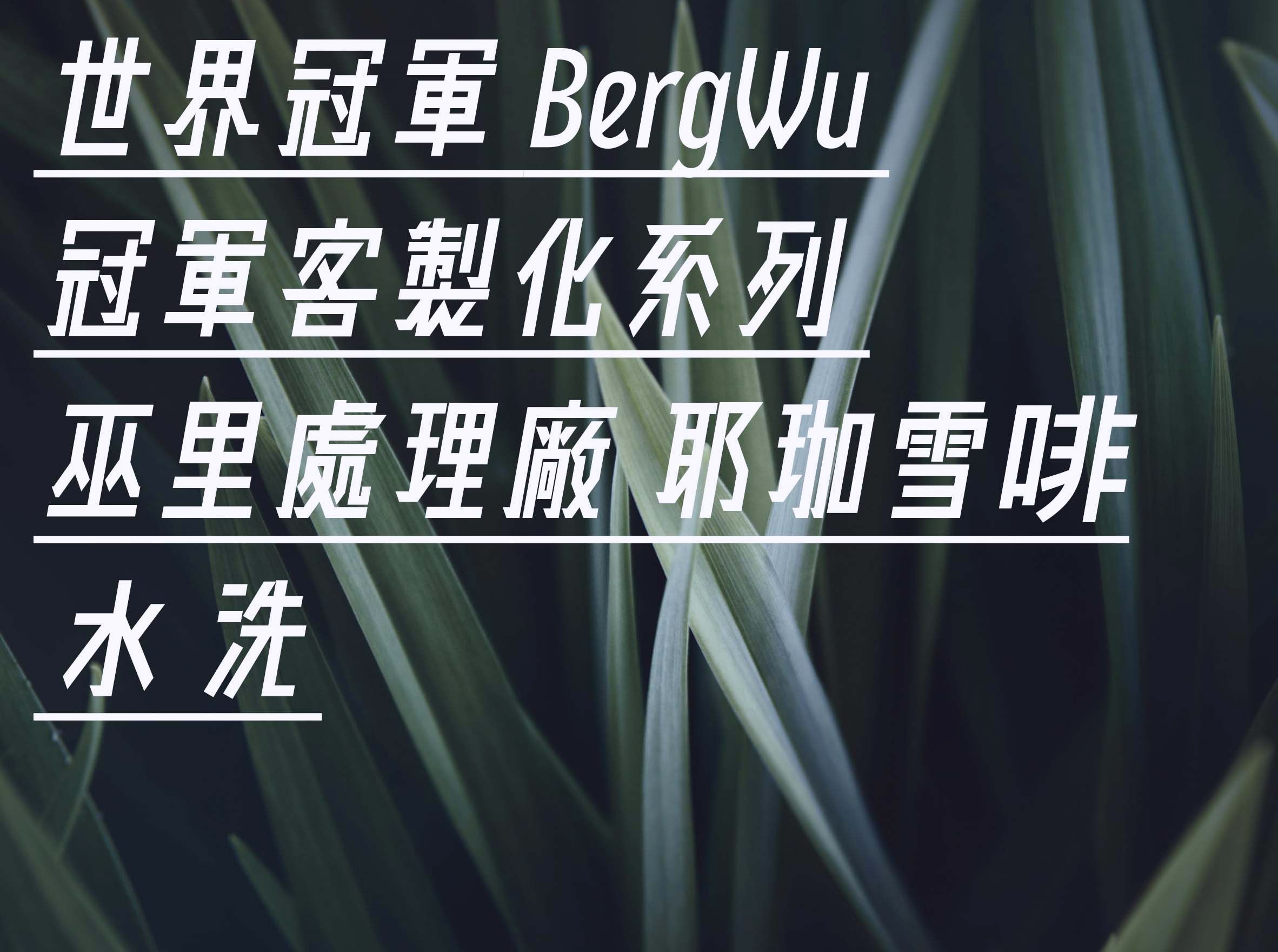 世界冠軍 BergWu 冠軍 客製化系列 水洗耶加雪菲 巫里處理廠