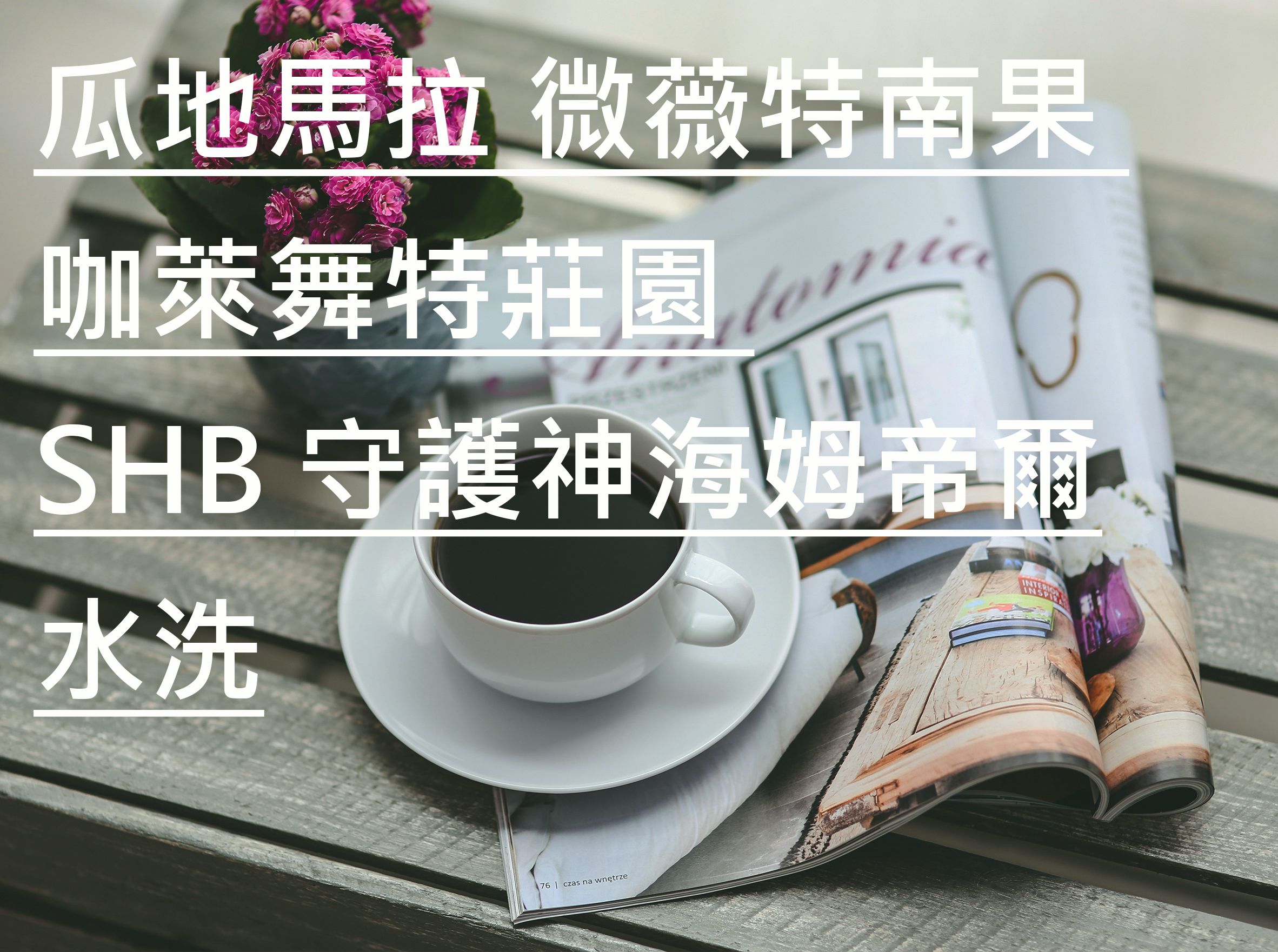 瓜地馬拉 微薇特南果 咖萊舞特莊園 SHB 守護神海姆帝爾
