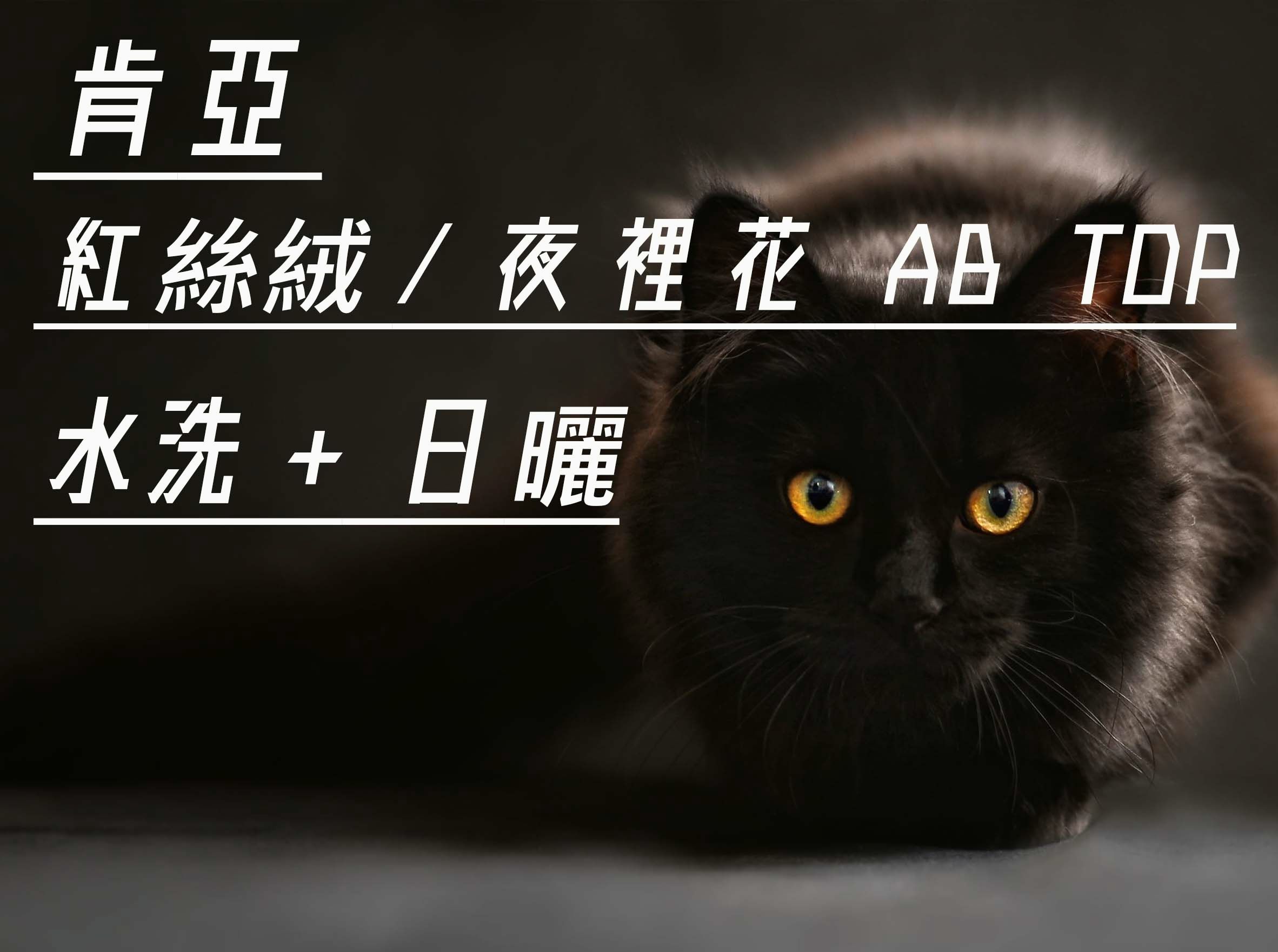 肯亞 紅絲絨/夜裡花 AB TOP 23/02批次 Coffee Review95分