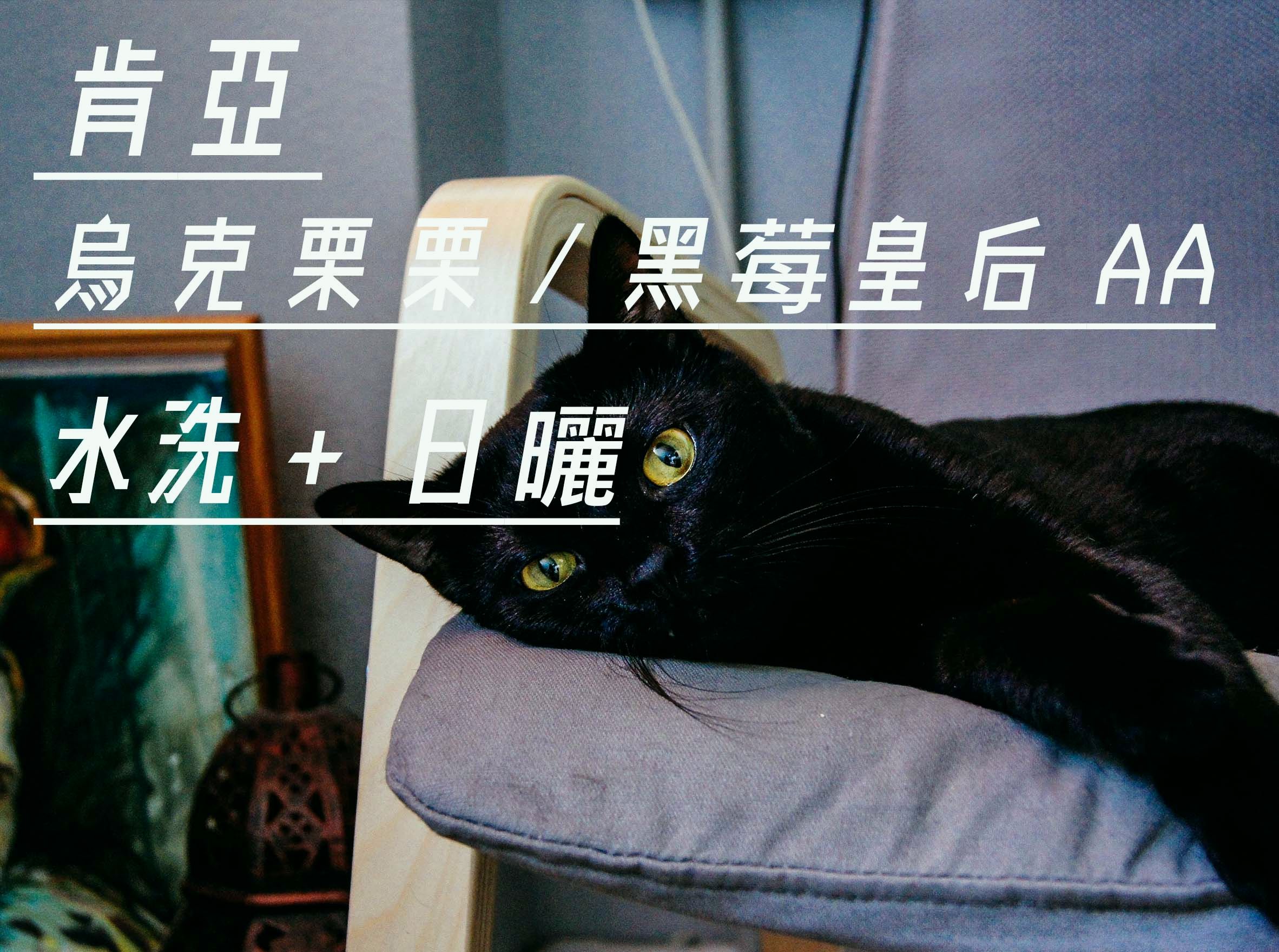 肯亞 烏克栗栗/黑莓皇后 AA