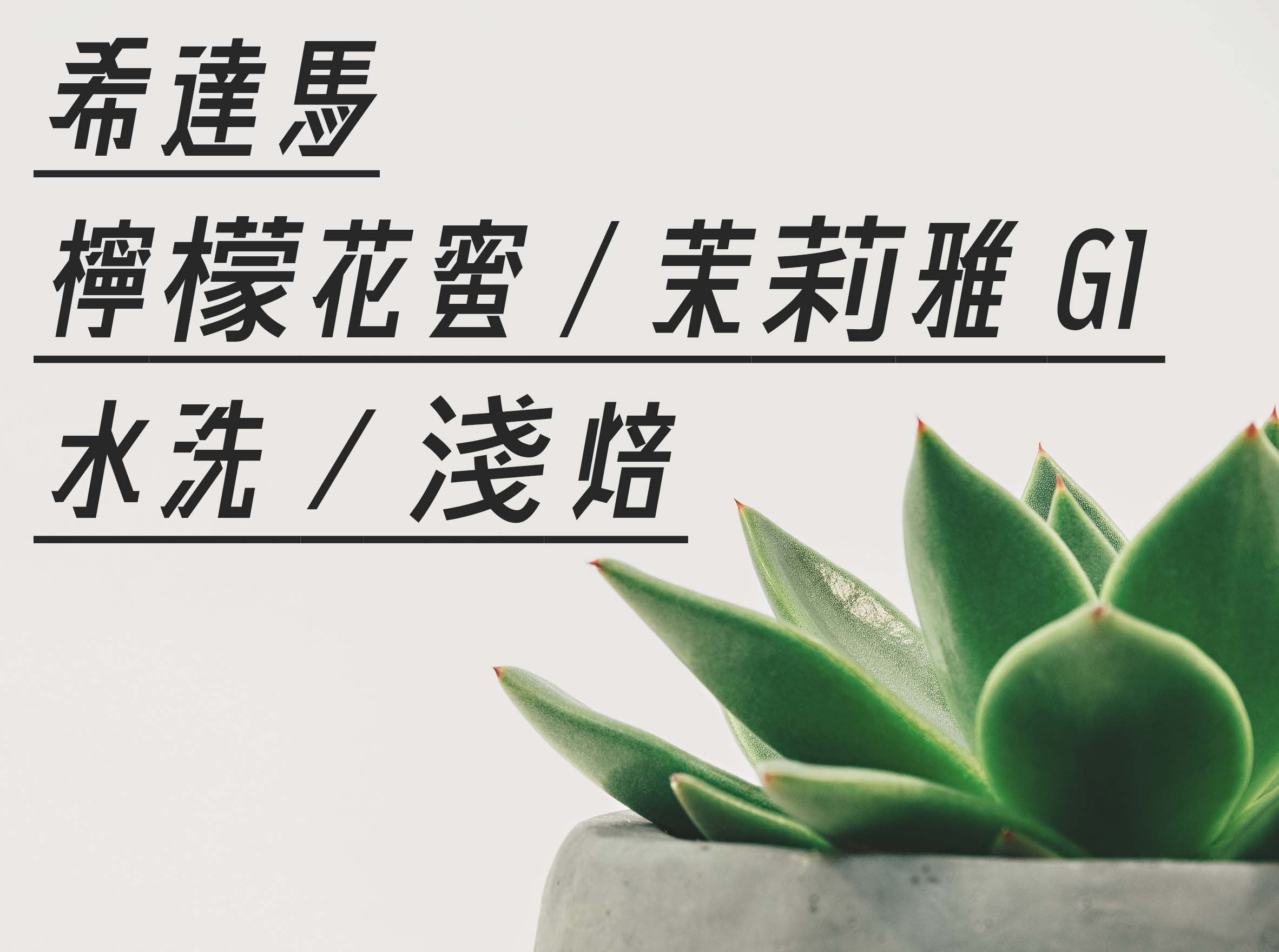 希達馬 檸檬花蜜/茉莉雅 G1 水洗