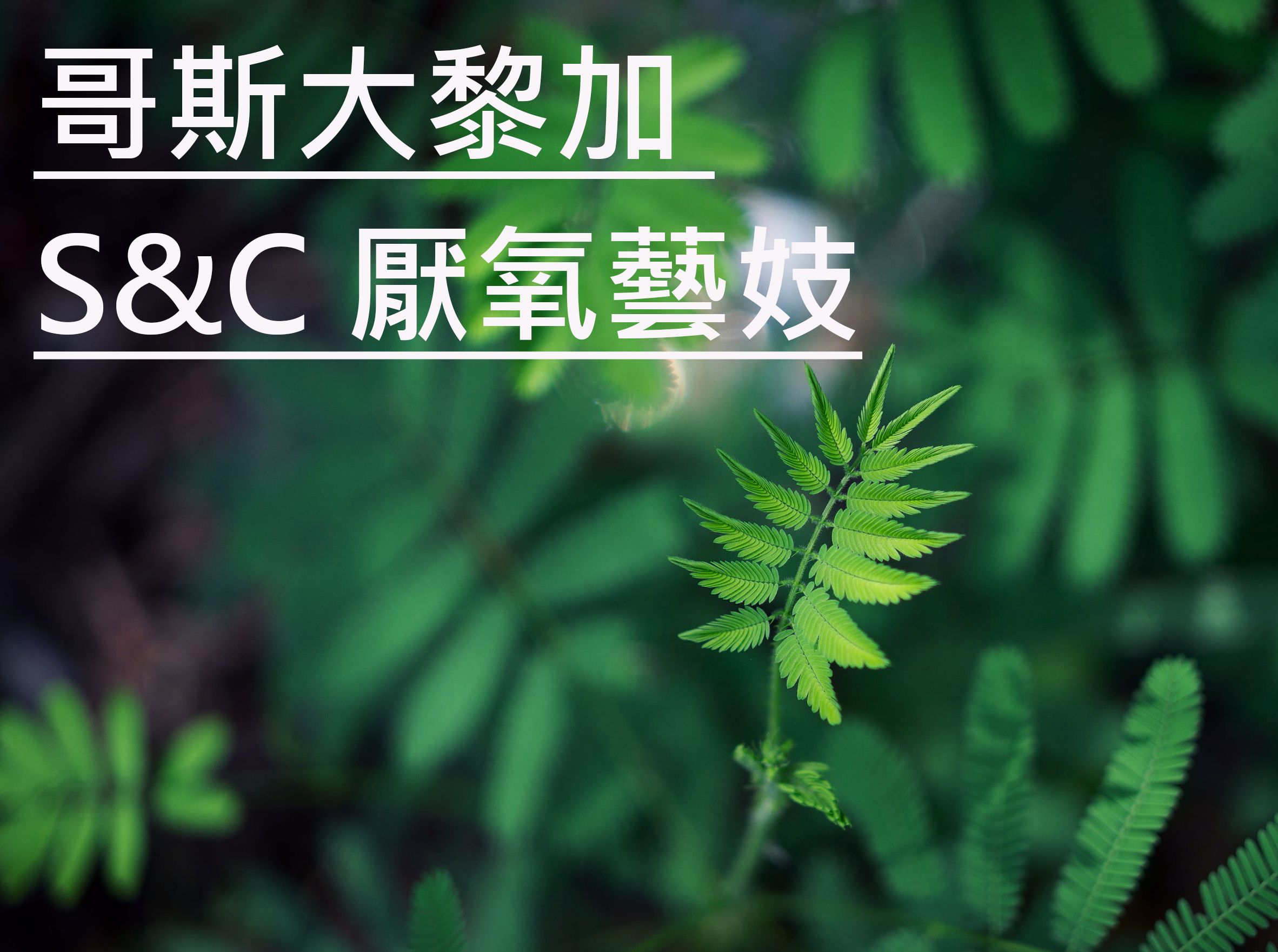 哥斯大黎加 S＆C 厭氧藝妓