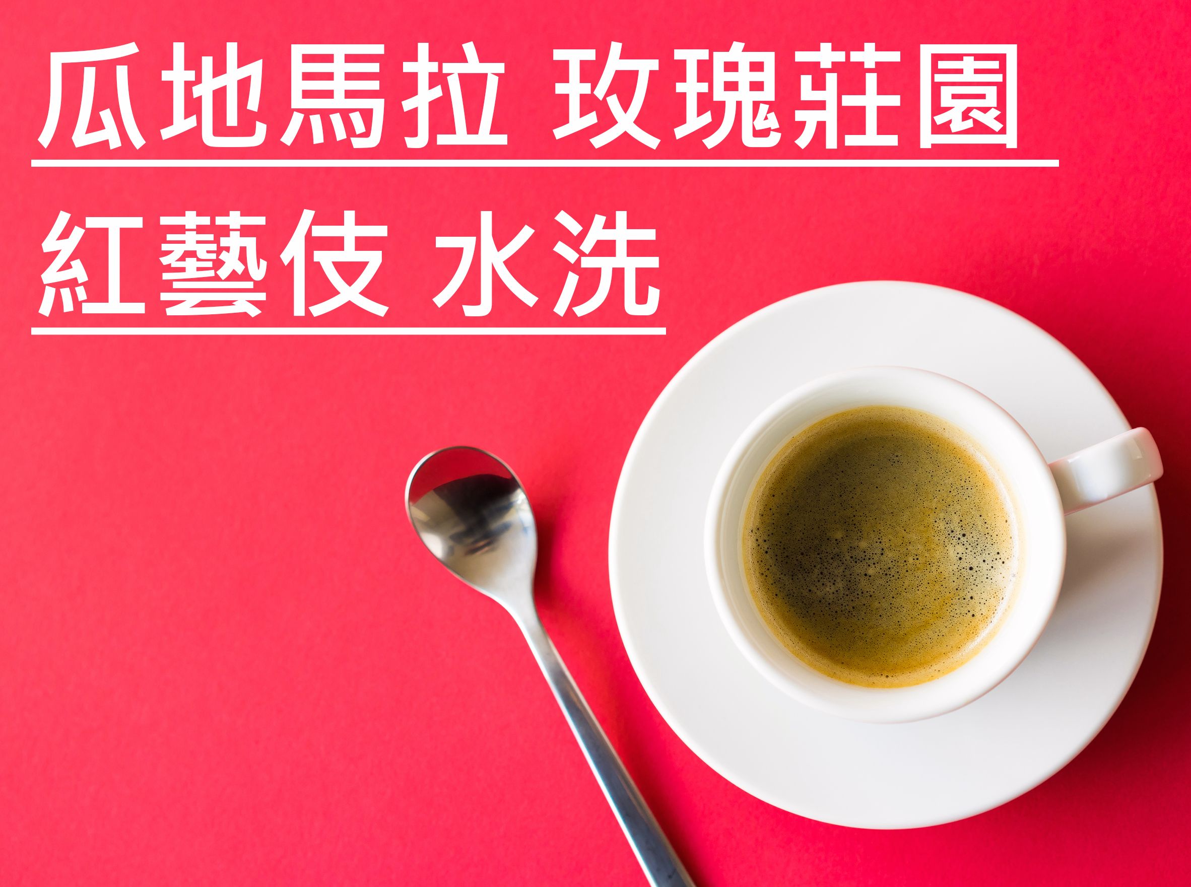 瓜地馬拉 玫瑰莊園 紅藝妓 水洗