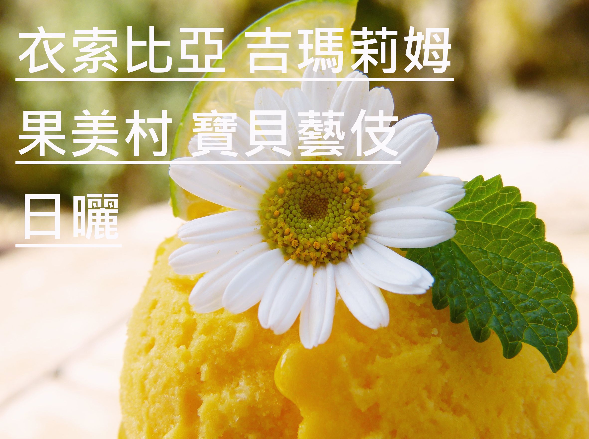 衣索比亞 吉瑪莉姆 果美村 寶貝藝伎 日曬