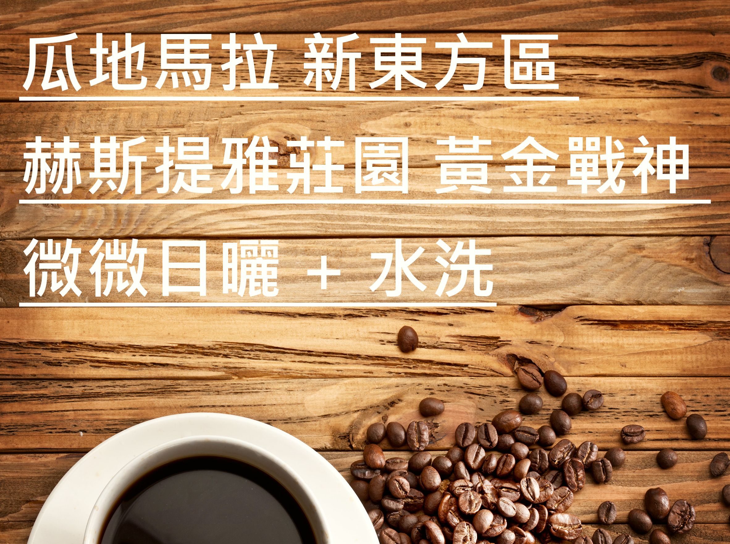 瓜地馬拉 新東方區 赫斯提雅莊園 黃金戰神 微微日曬+水洗