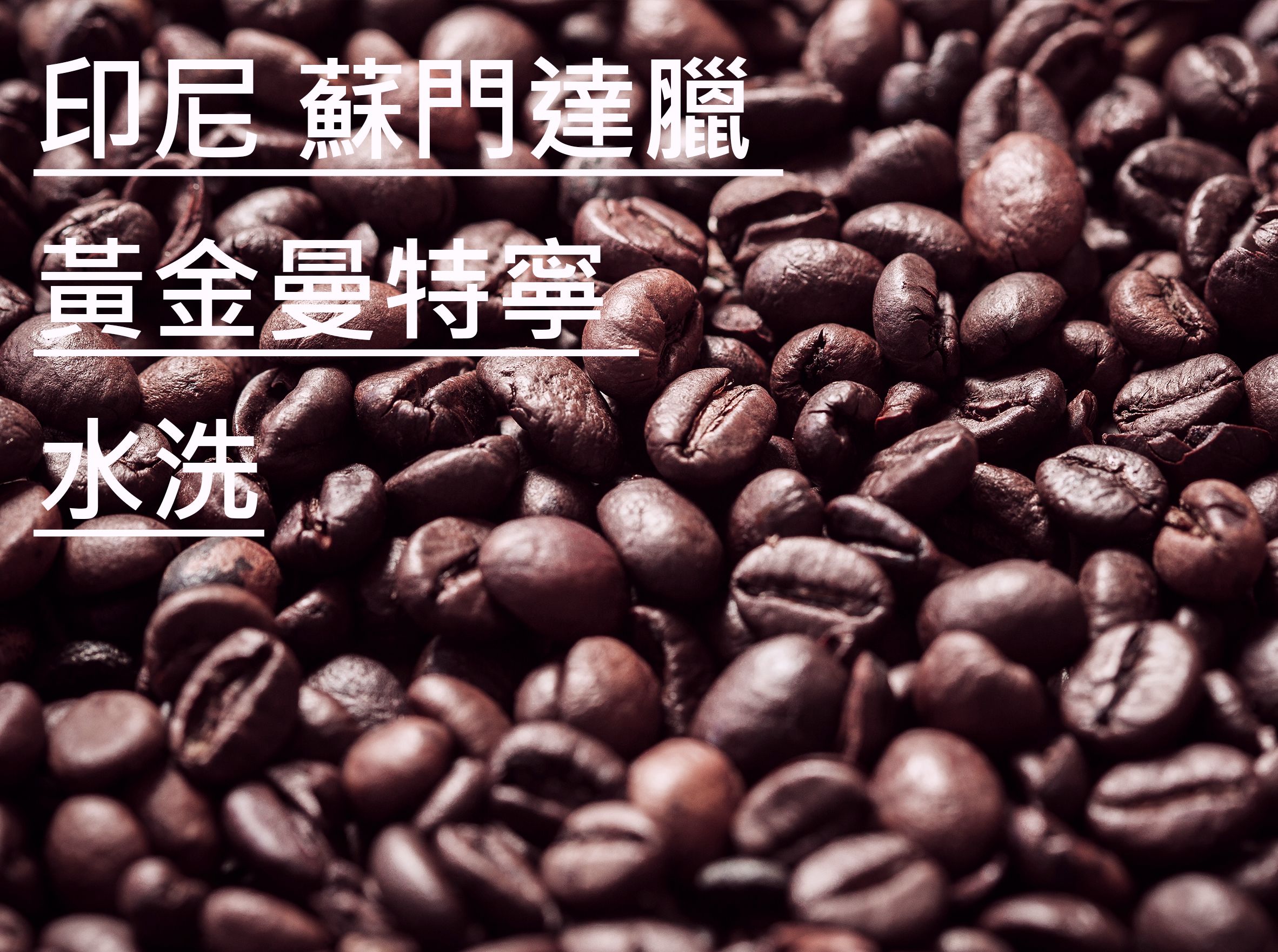 印尼 蘇門達臘 黃金曼特寧 水洗