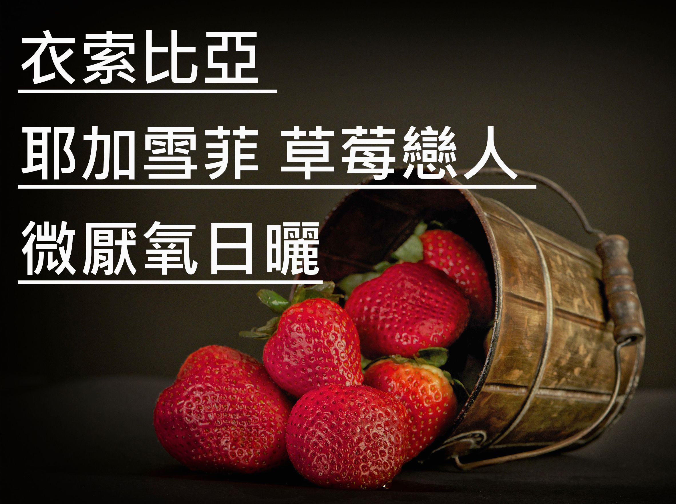 衣索比亞 耶加雪菲 草莓戀人 微厭氧日曬