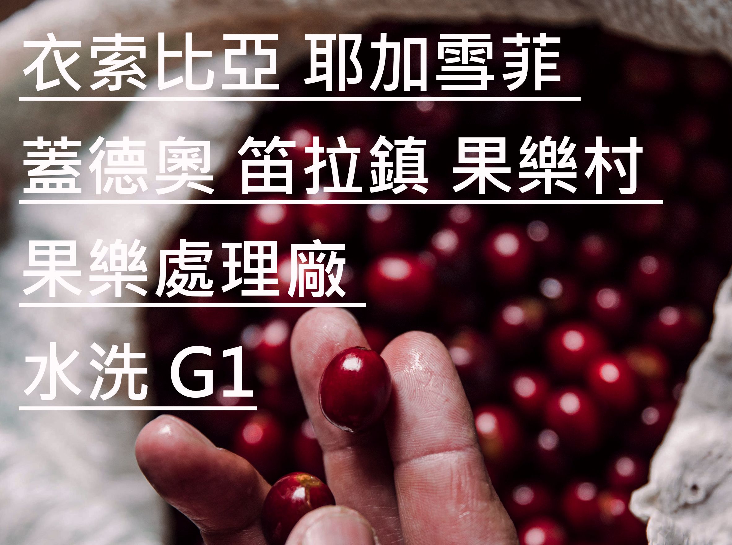 衣索比亞 耶加雪菲 蓋德奧 笛拉鎮 果樂村 果樂處理廠 水洗 G1