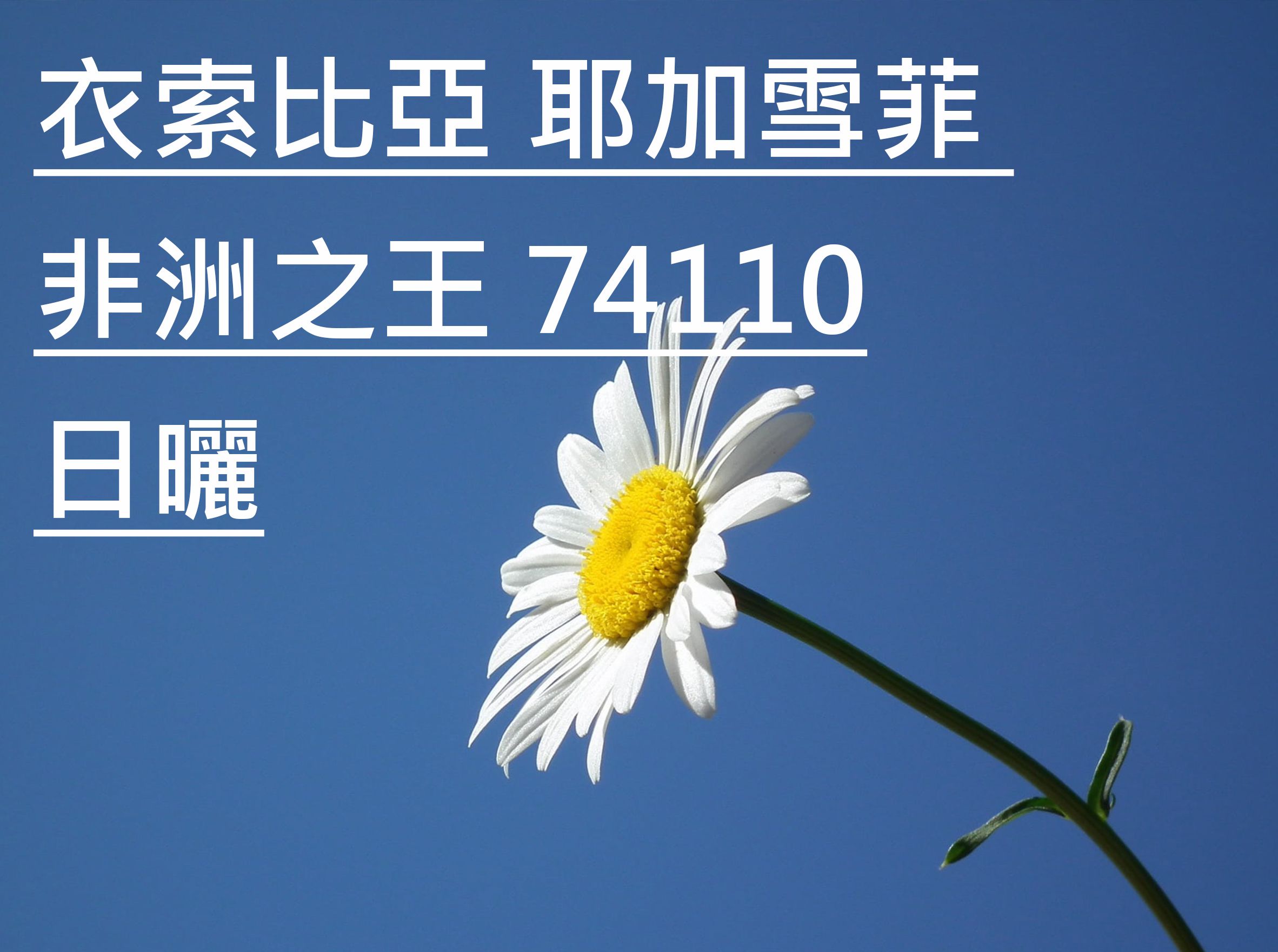 衣索比亞 耶加雪菲 非洲之王 74110