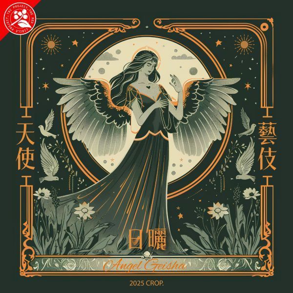 衣索比亞 日曬 天使藝伎 G1