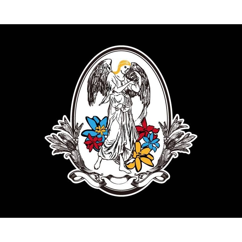 哥斯大黎加 多塔 女神莊園 藝伎 酵素水洗