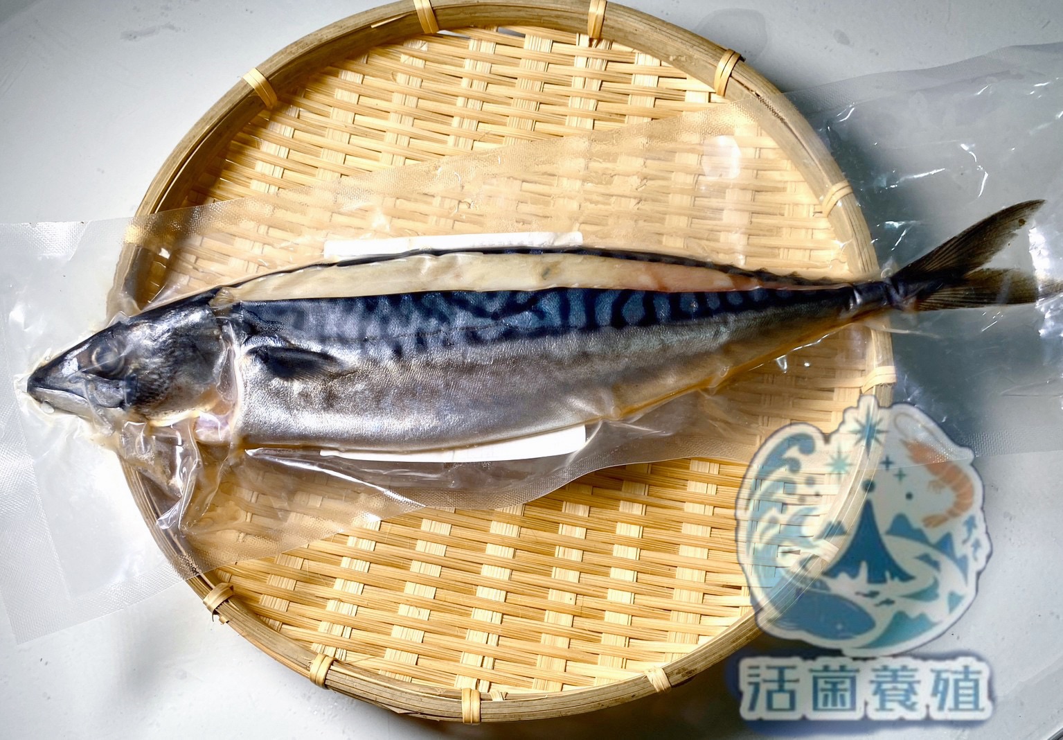 南洋魚販售所 - 挪威 薄鹽 鯖魚 / 整尾 三去 真空 冷覺