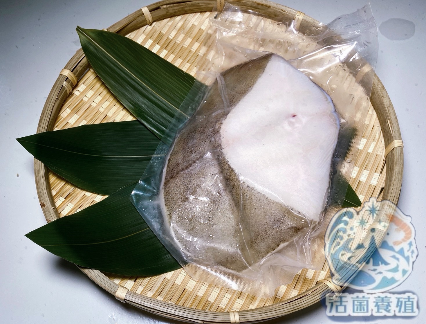南洋魚販售所-漁船現撈-急速冷凍/厚切大西洋深海扁鱈（包冰率5%）