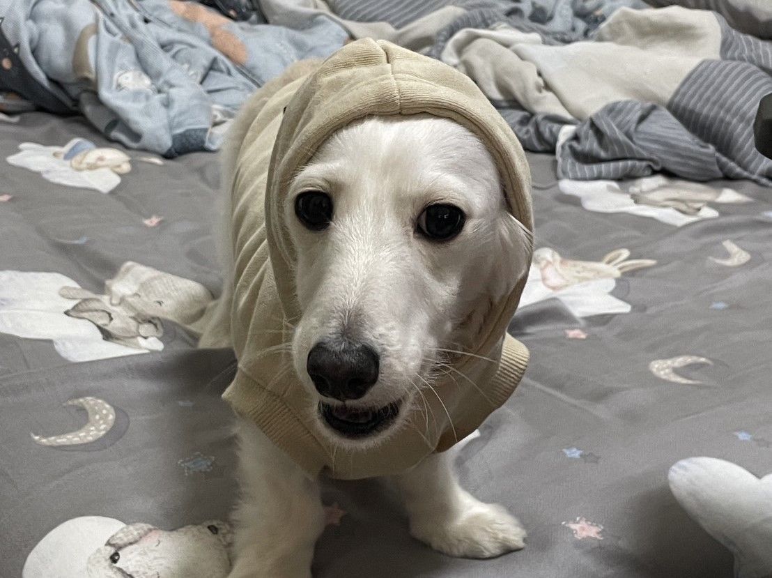 歡迎各位寶寶! 謝謝你們來買~~ 愛你們!