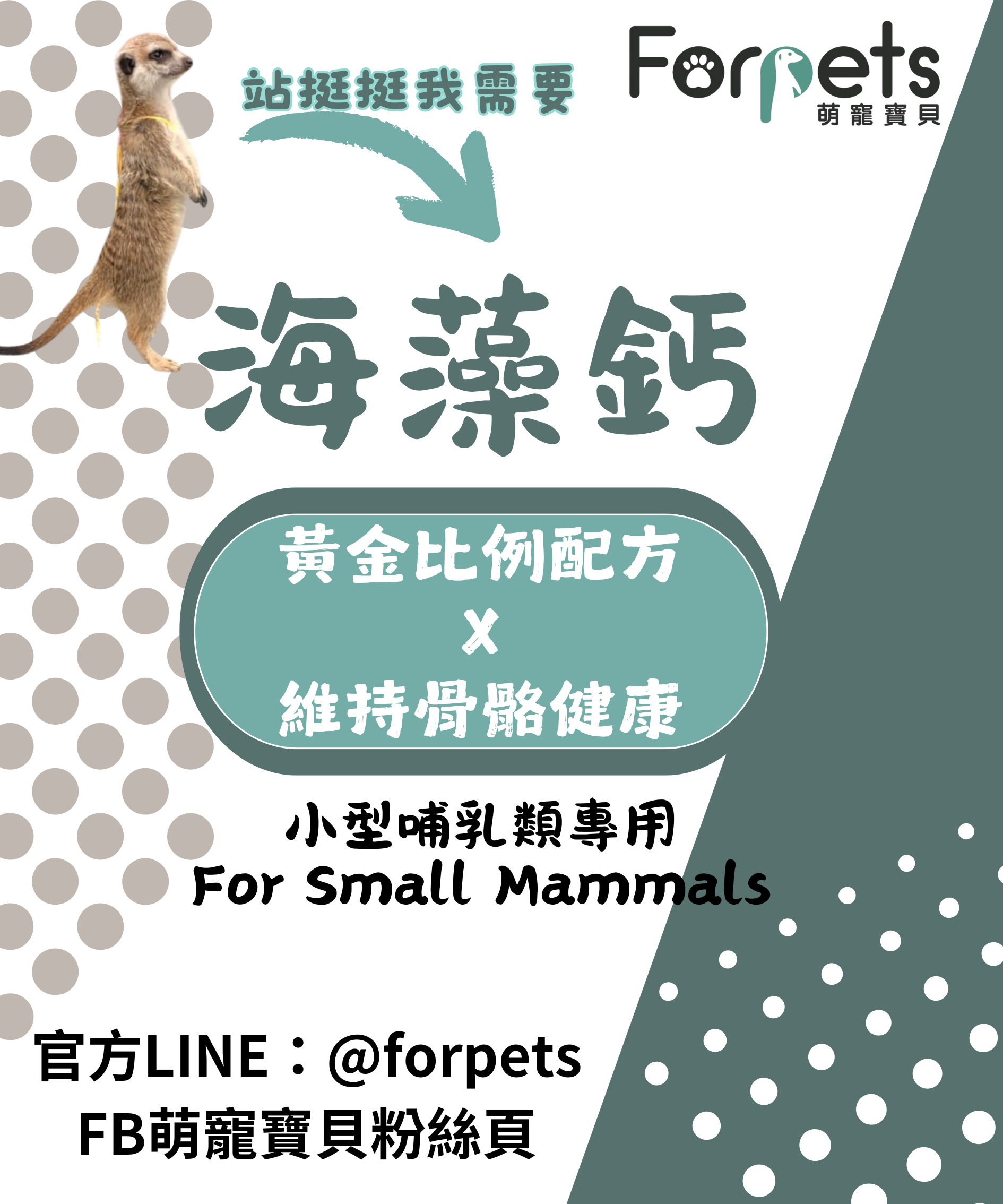 FORPETS萌寵寶貝 植物性海藻鈣 （口服保健食品）