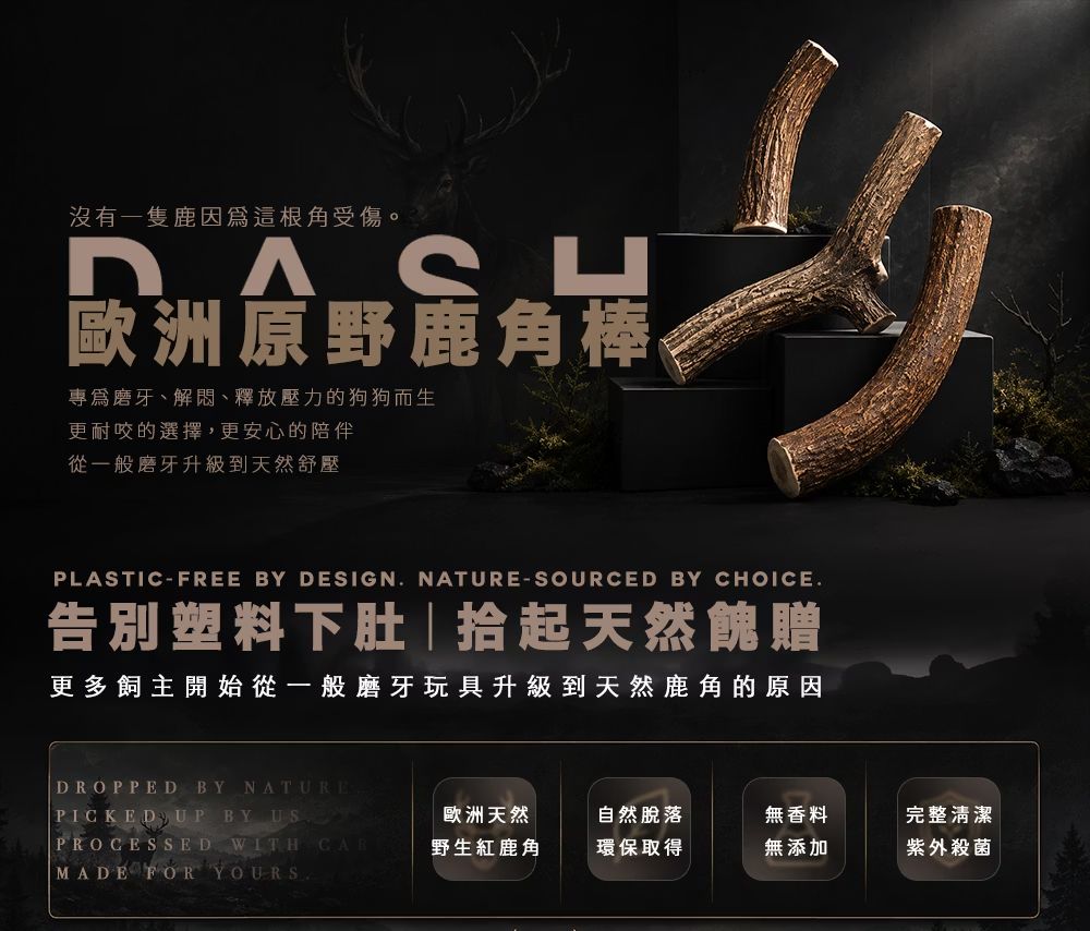 DASH【歐洲野生紅鹿角】