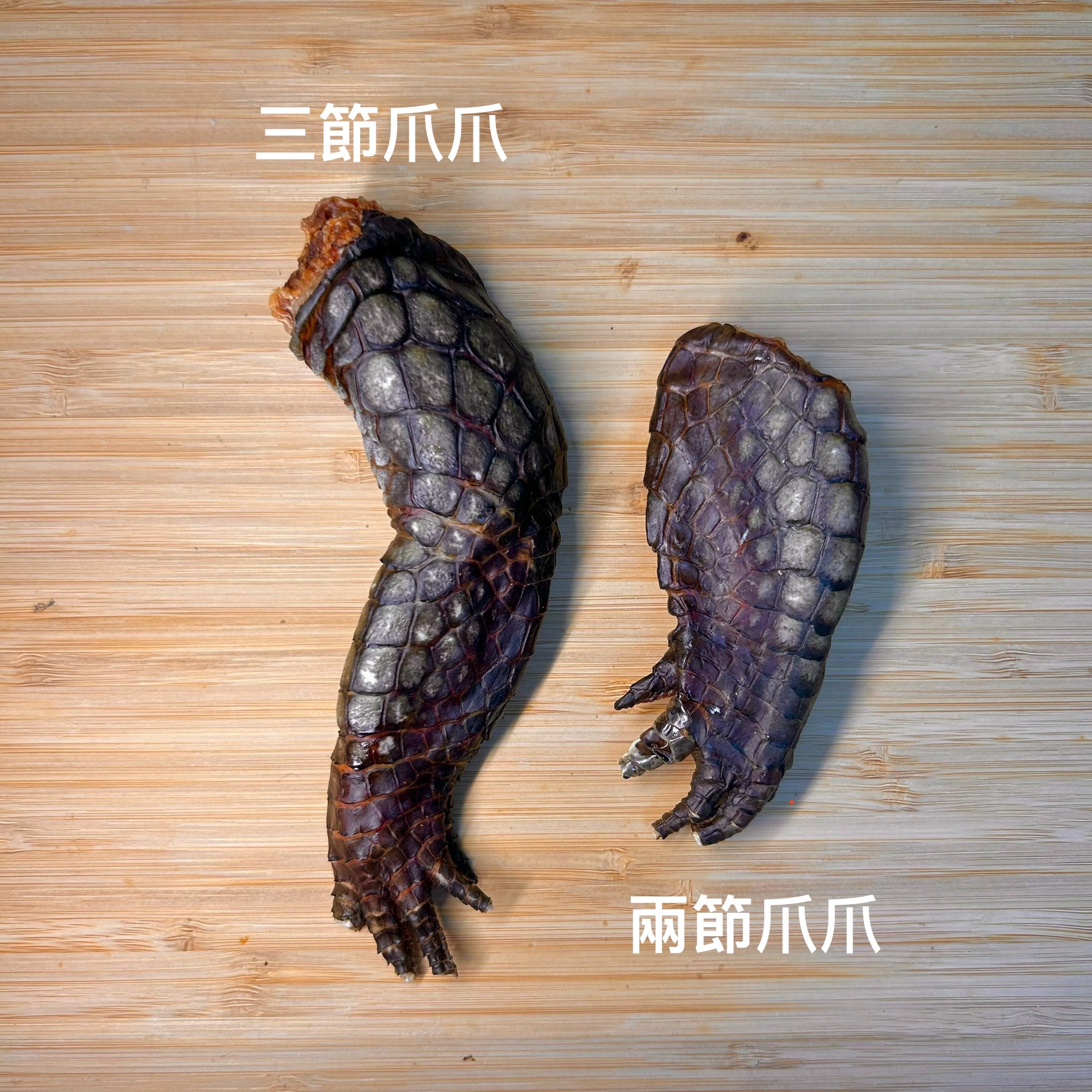 鱷魚🐊（特價中