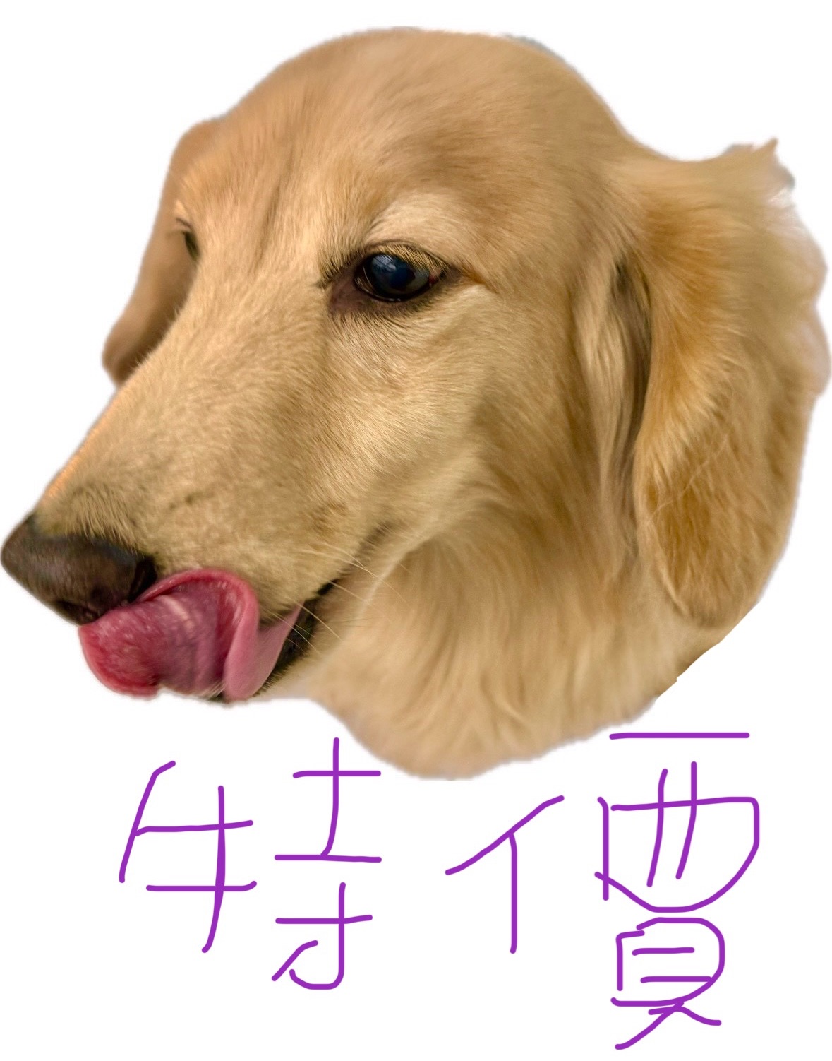 不定期輪流特價🎁