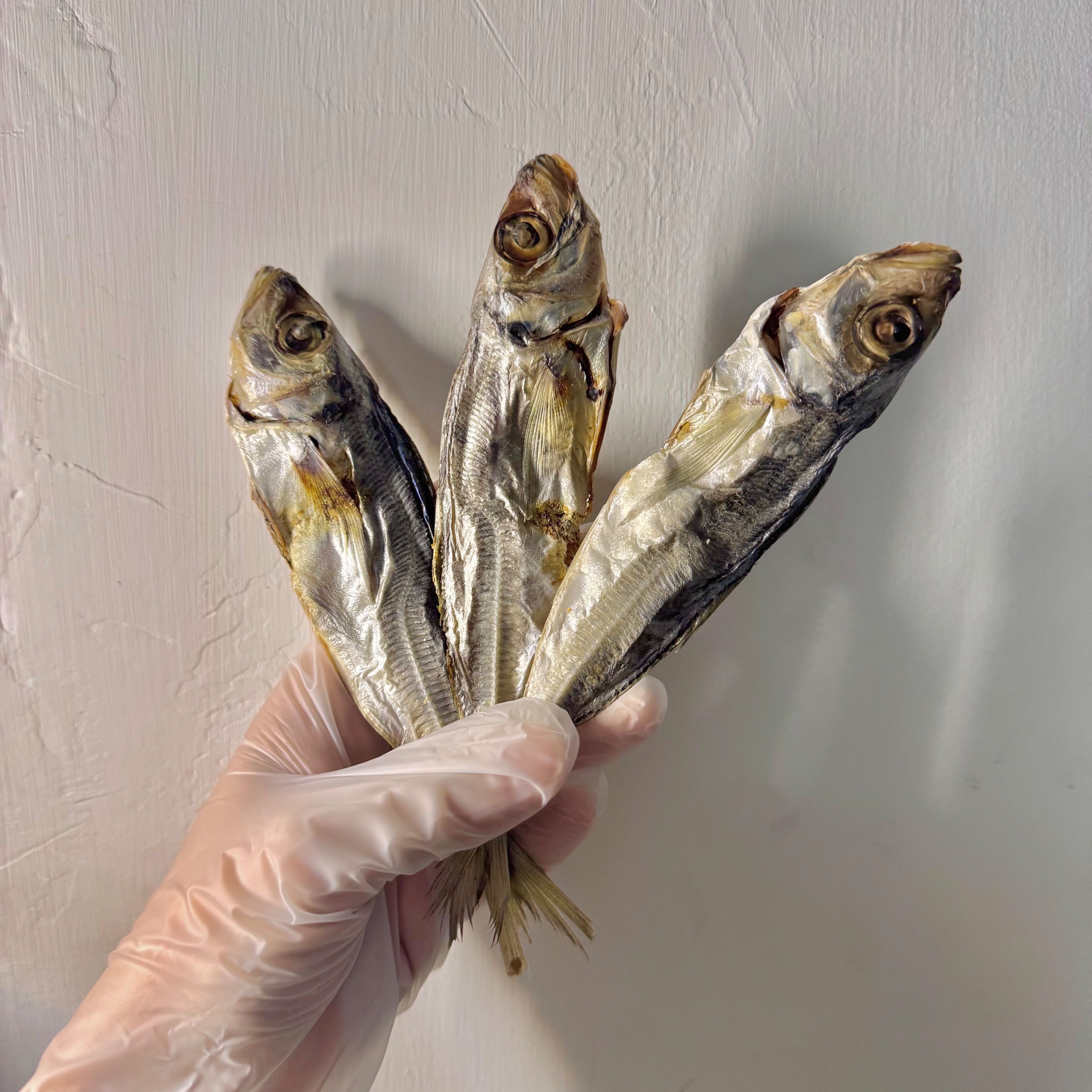 水裡系列🐟🦈 （容量詳情點照片）