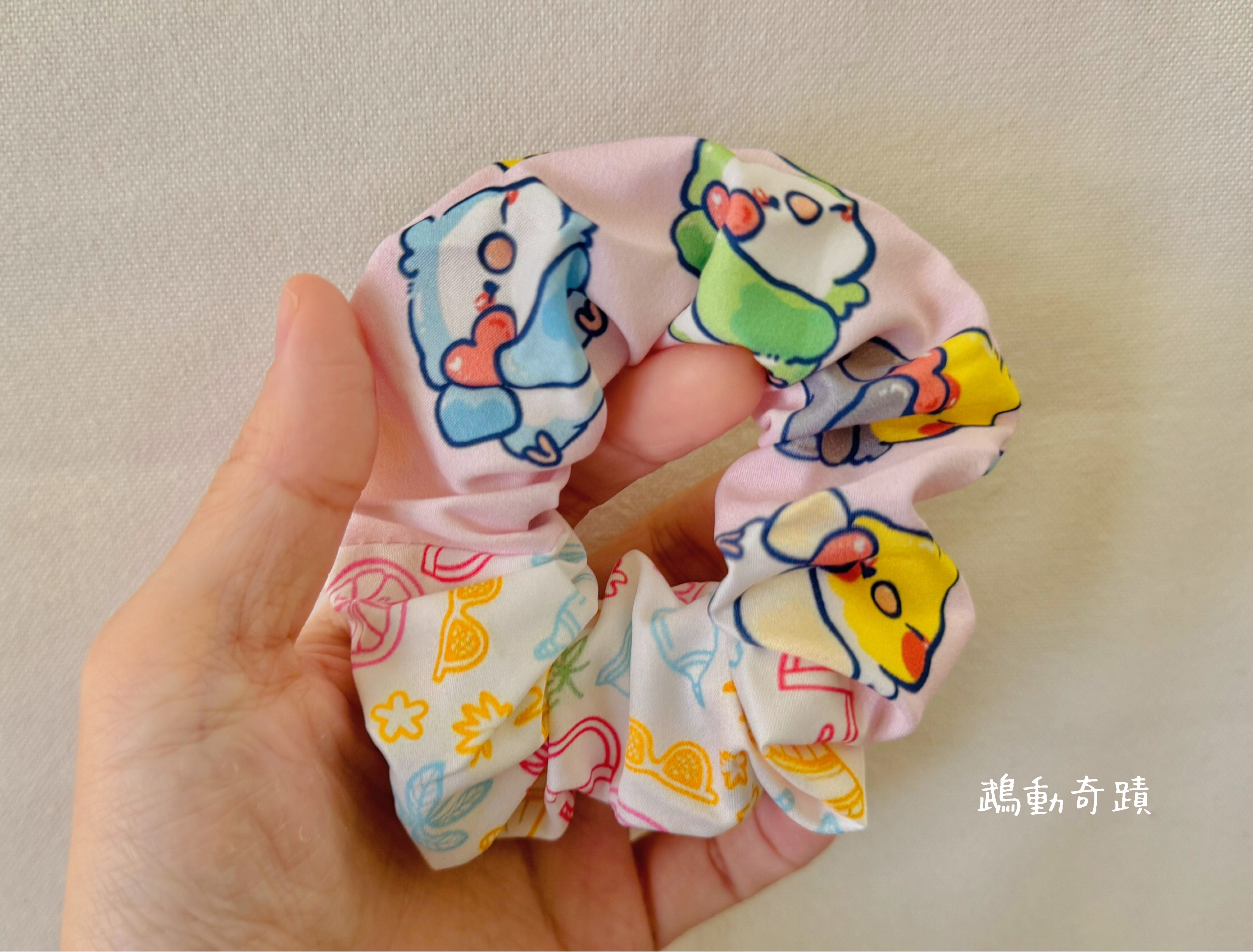 鳥寶大腸圈