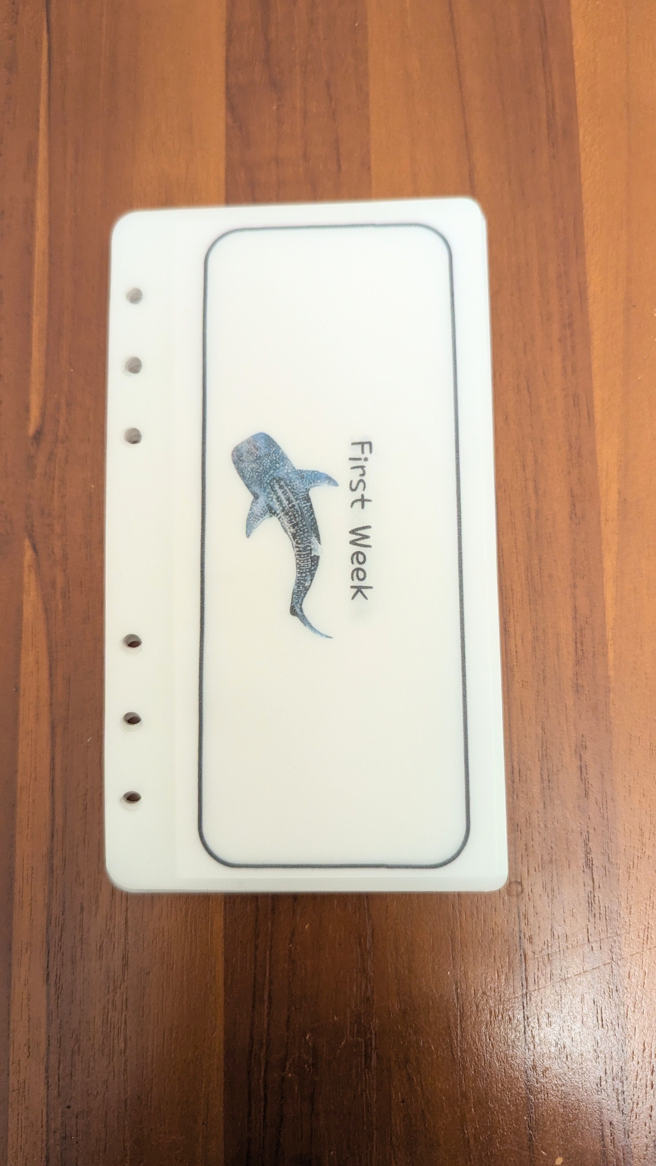Whale Shark 鯨鯊支出預算分配
