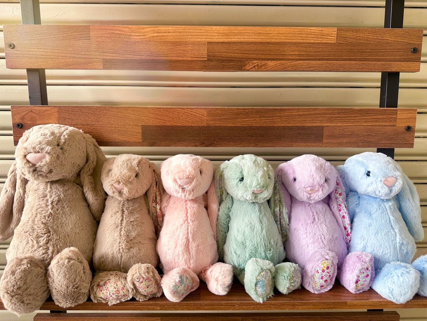 Jellycat 18cm兔兔