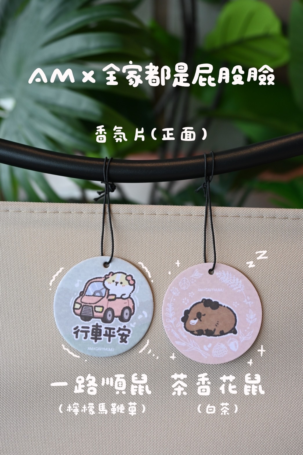 全家都是屁股臉🐹天竺鼠公益香氛片