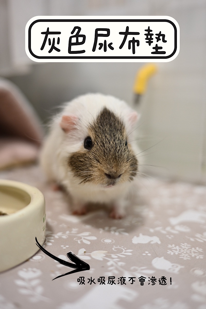 姆姆媽選物🐹超多人詢問的灰色尿布墊
