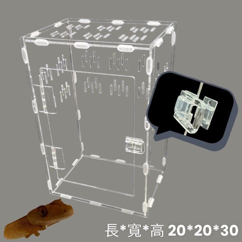 樹棲守宮飼養箱