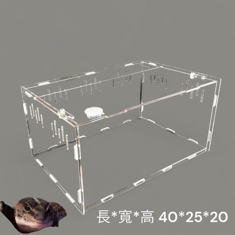 地棲守宮飼養盒