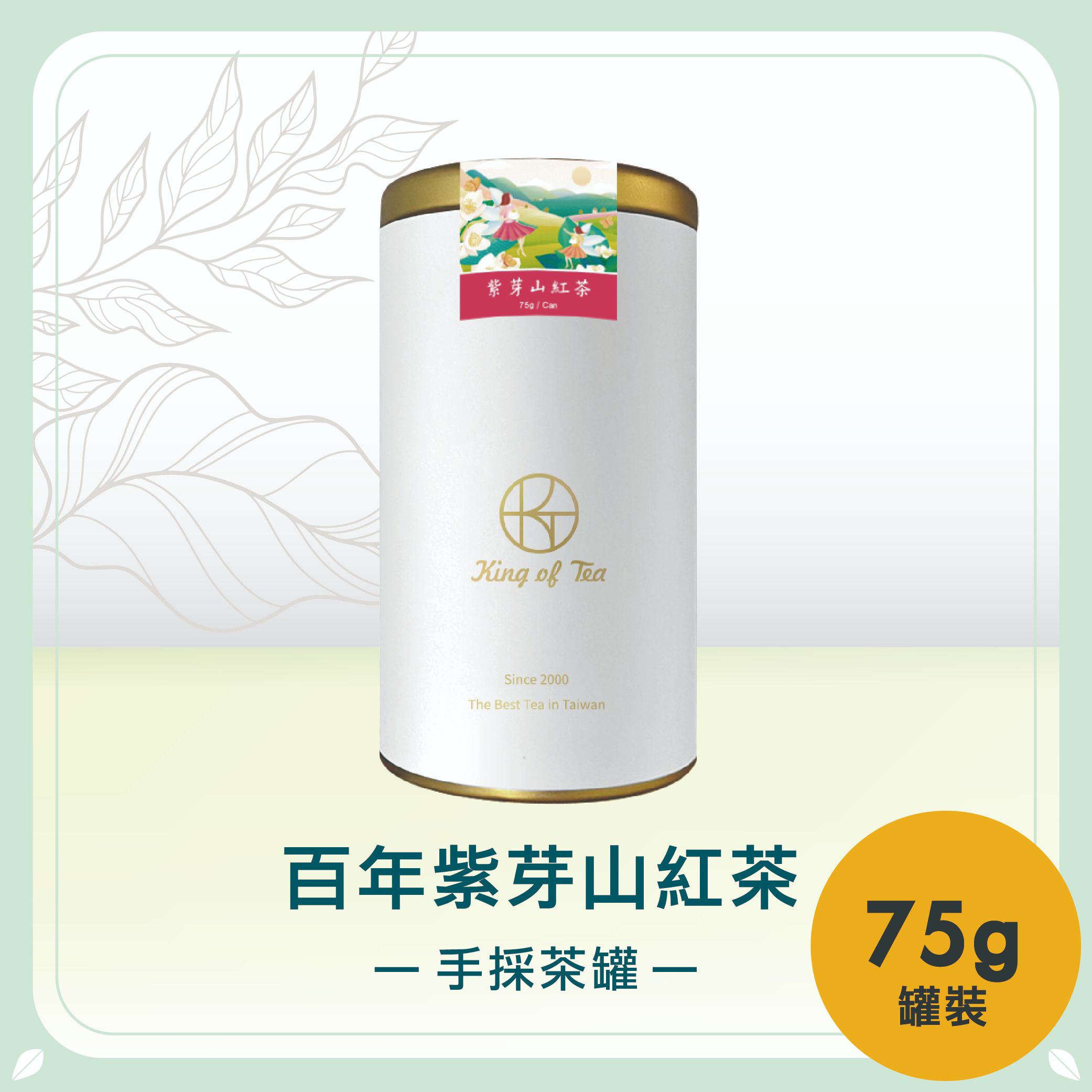 百年紫芽山紅茶手採茶罐