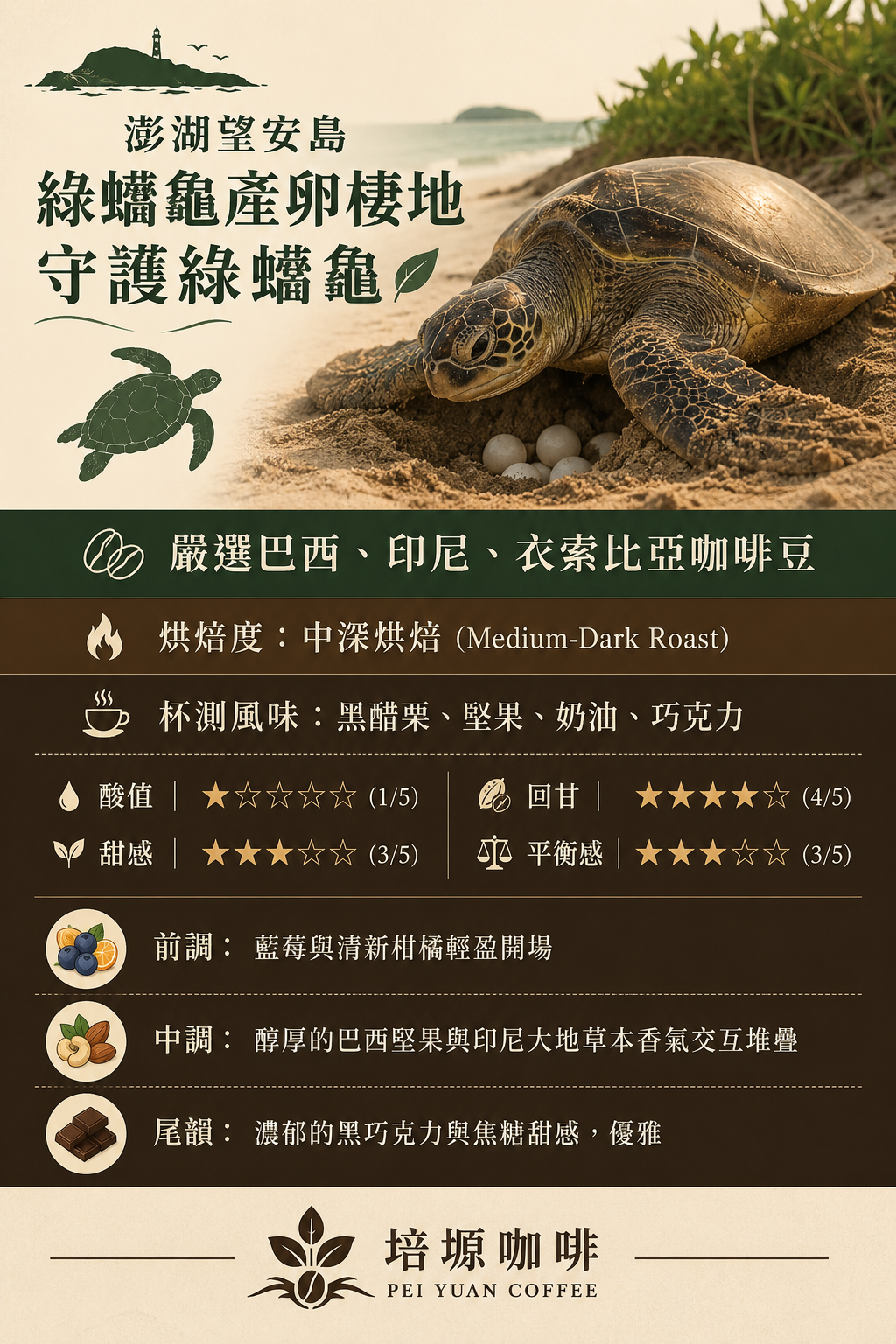 澎湖海龜咖啡sea ​​turtle coffee