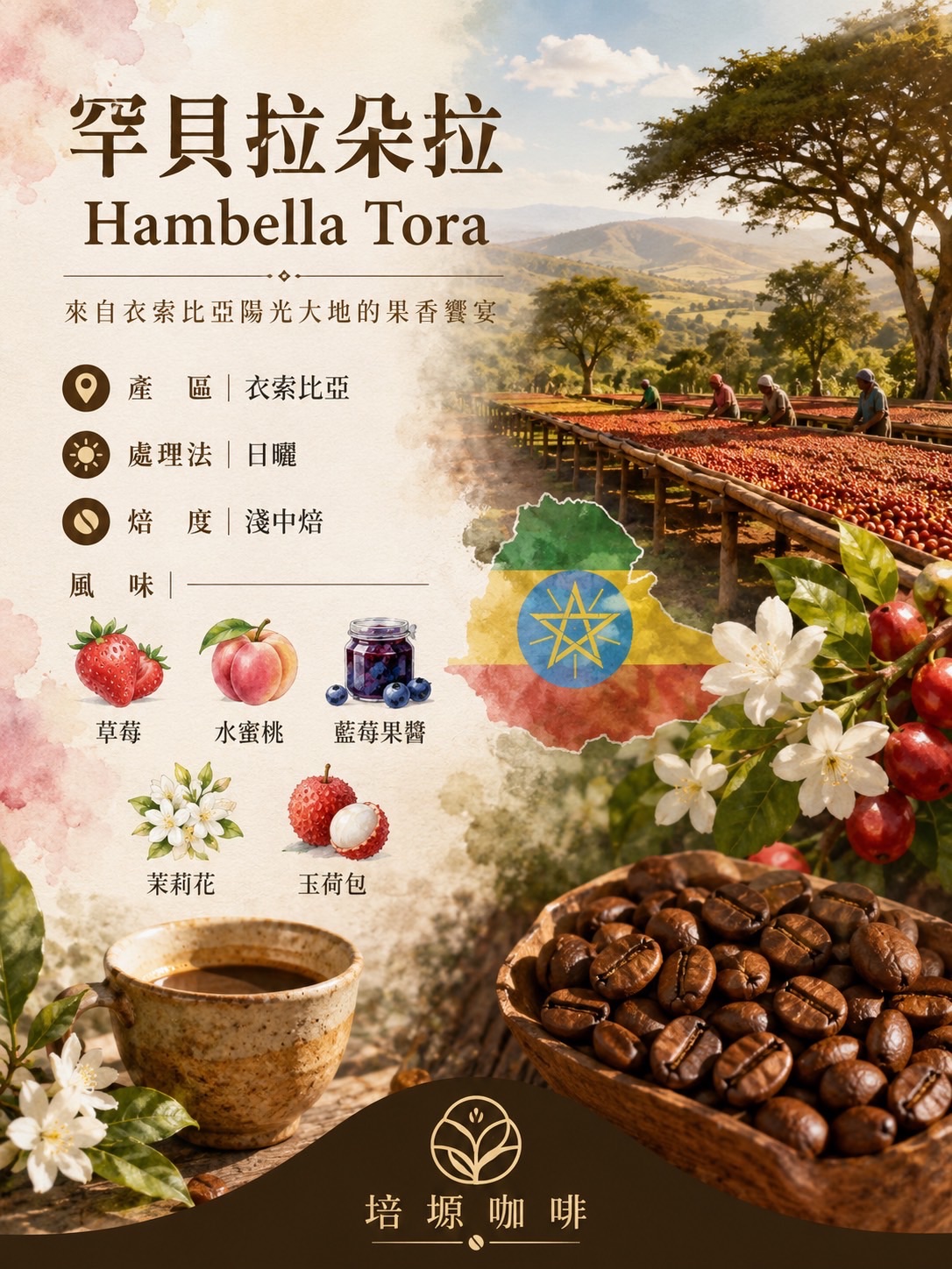 罕貝拉朵拉Hambella Tora