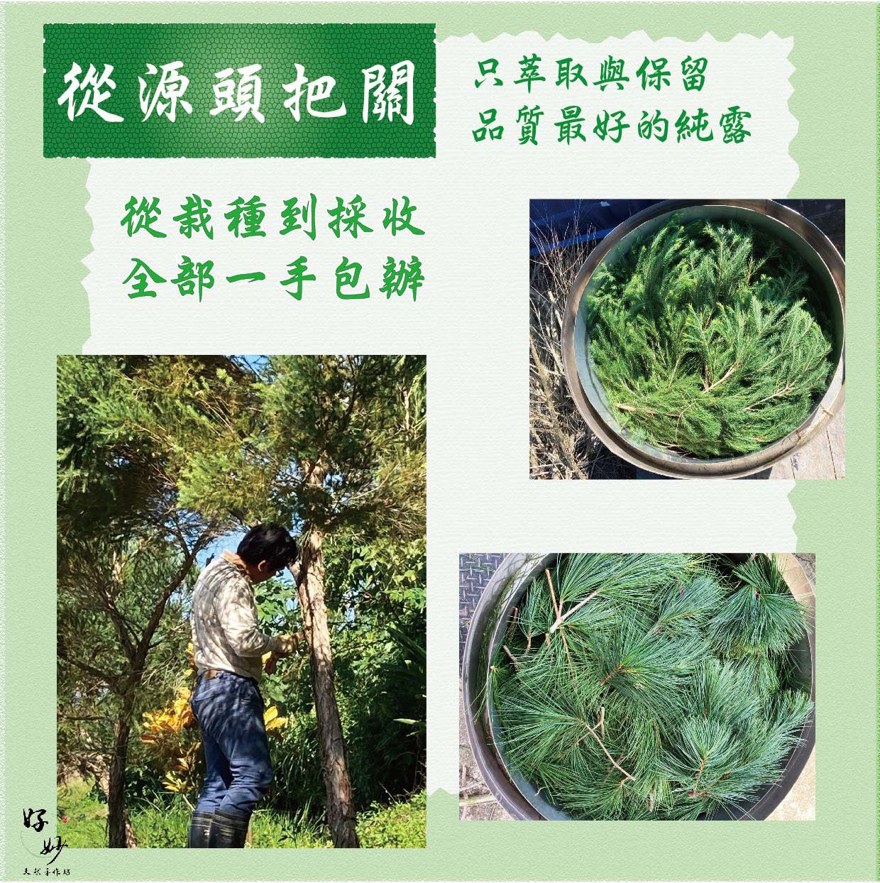 慈心綠保認證田區 高純度1公升 蘆薈/紫蘇葉純露