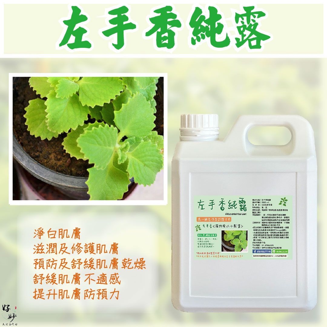 慈心綠保認證田區 高純度 左手香純露 南投小農自家農場種植 自家萃取 ２公升大容量【好妙天然手作坊】