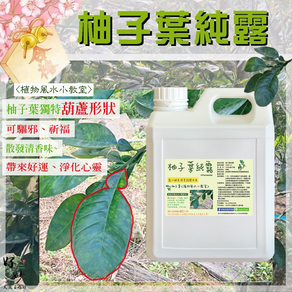 慈心綠色保育認證田區 高純度 柚子葉純露 南投小農自家農場種植 自家萃取 2公升大容量【好妙天然手作坊】