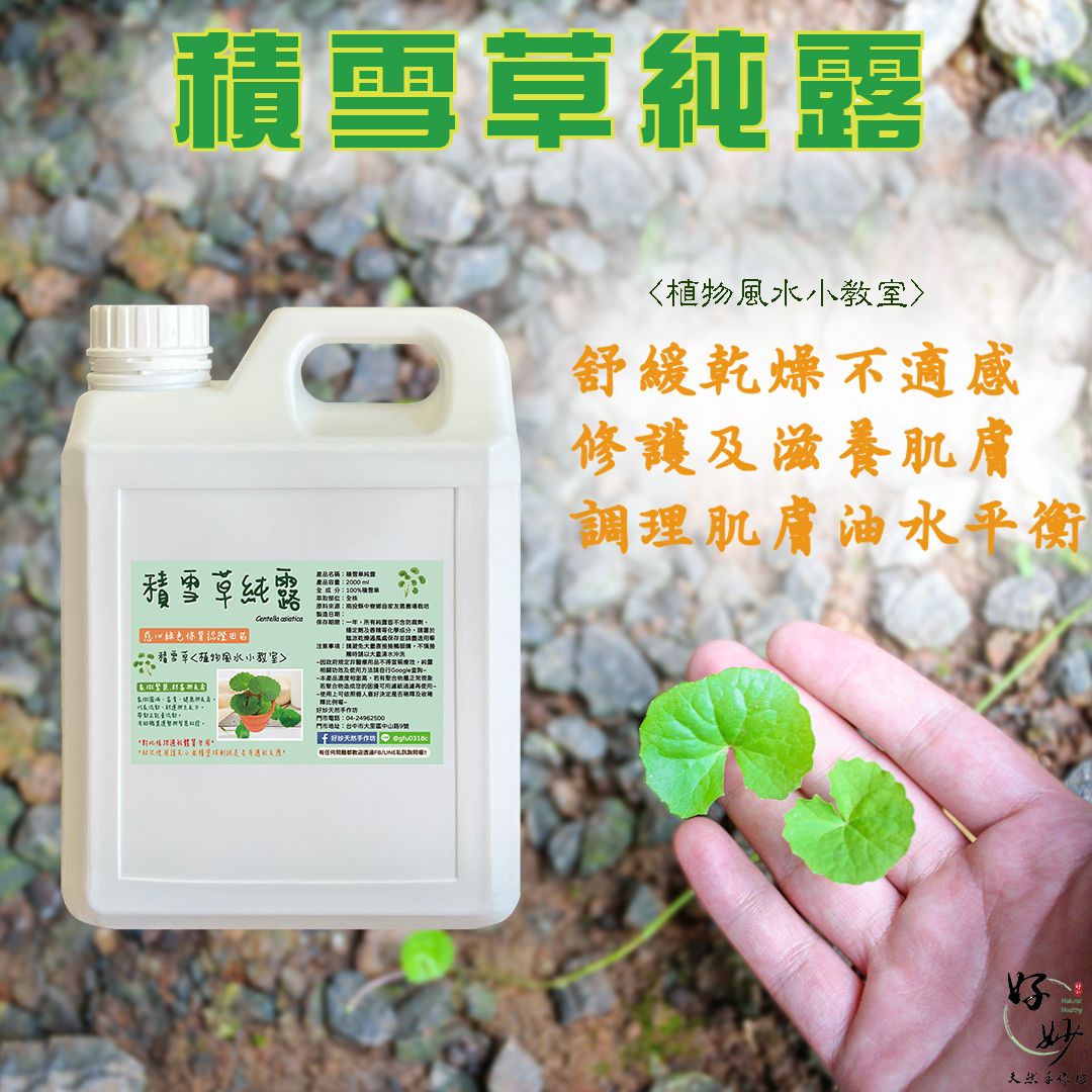 慈心綠保認證田區 高純度 積雪草純露 南投小農自家農場種植 自家萃取 2公升大容量【好妙天然手作坊】