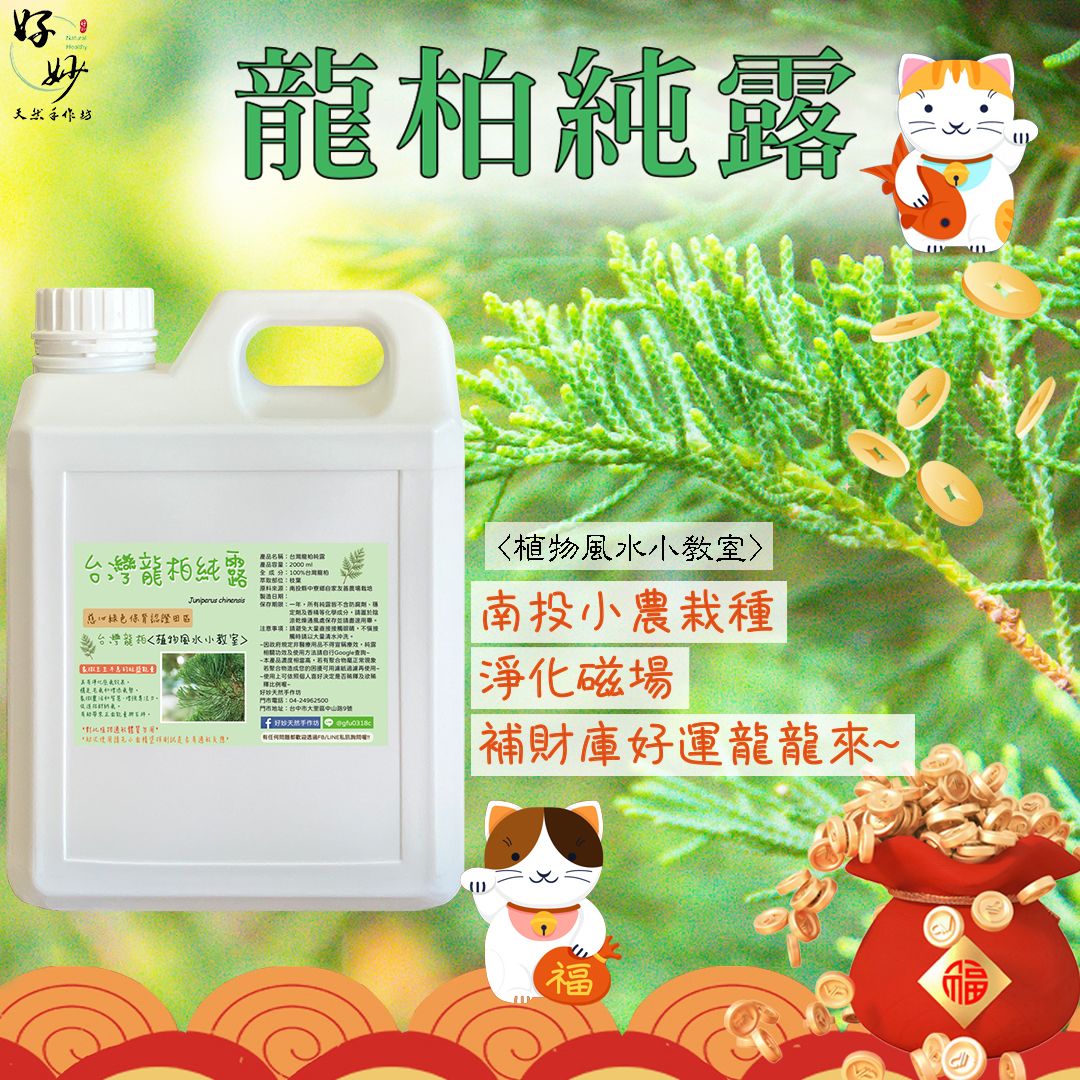 💰開運招財首選💰慈心綠保認證田區 高純度 龍柏純露 南投小農自家農場種植 自家萃取 1公升大容量【好妙天然手作坊