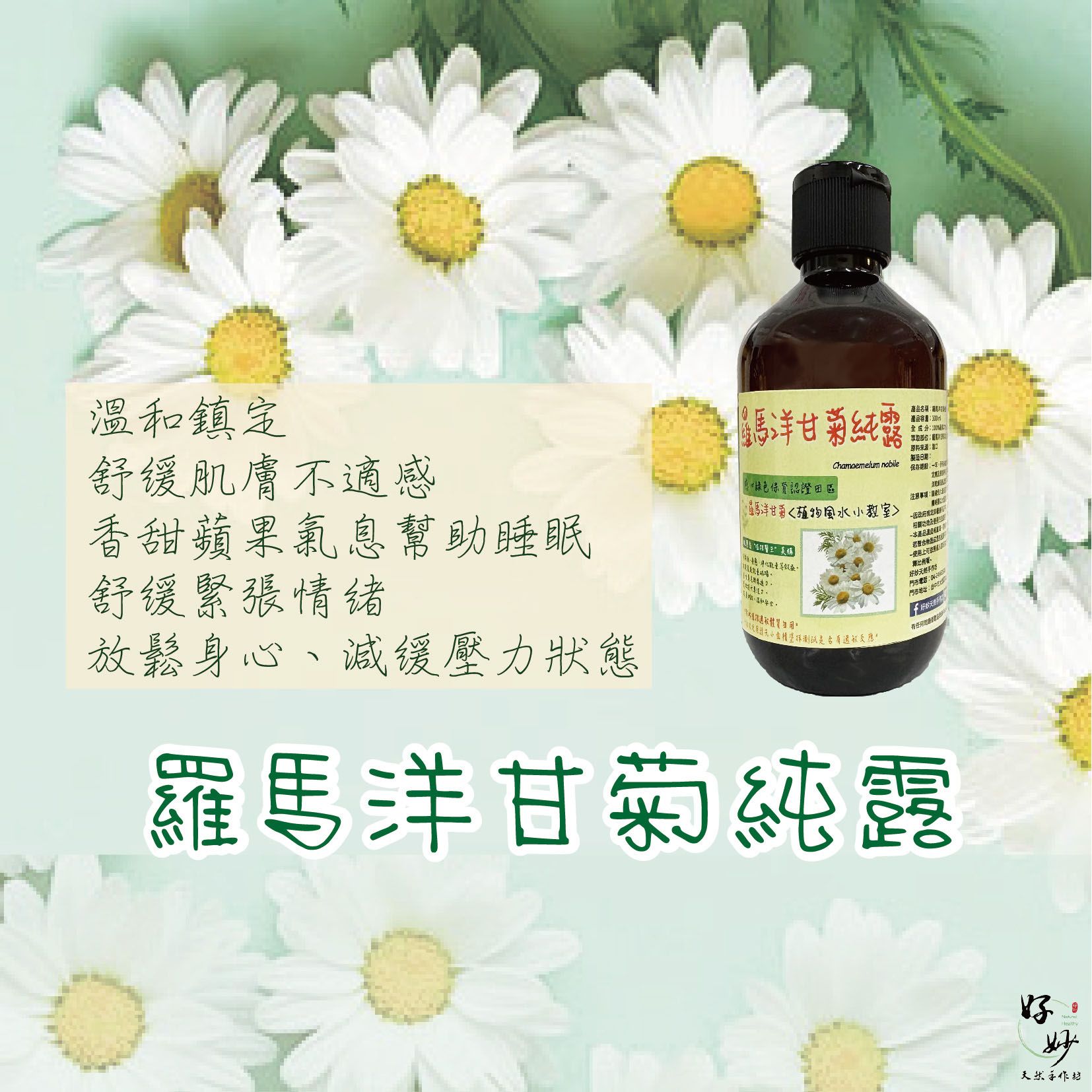 高純度 羅馬洋甘菊純露 原料進口 純露自家萃取 食品級原料 芳療級純露 花水 300ml【好妙天然手作坊】