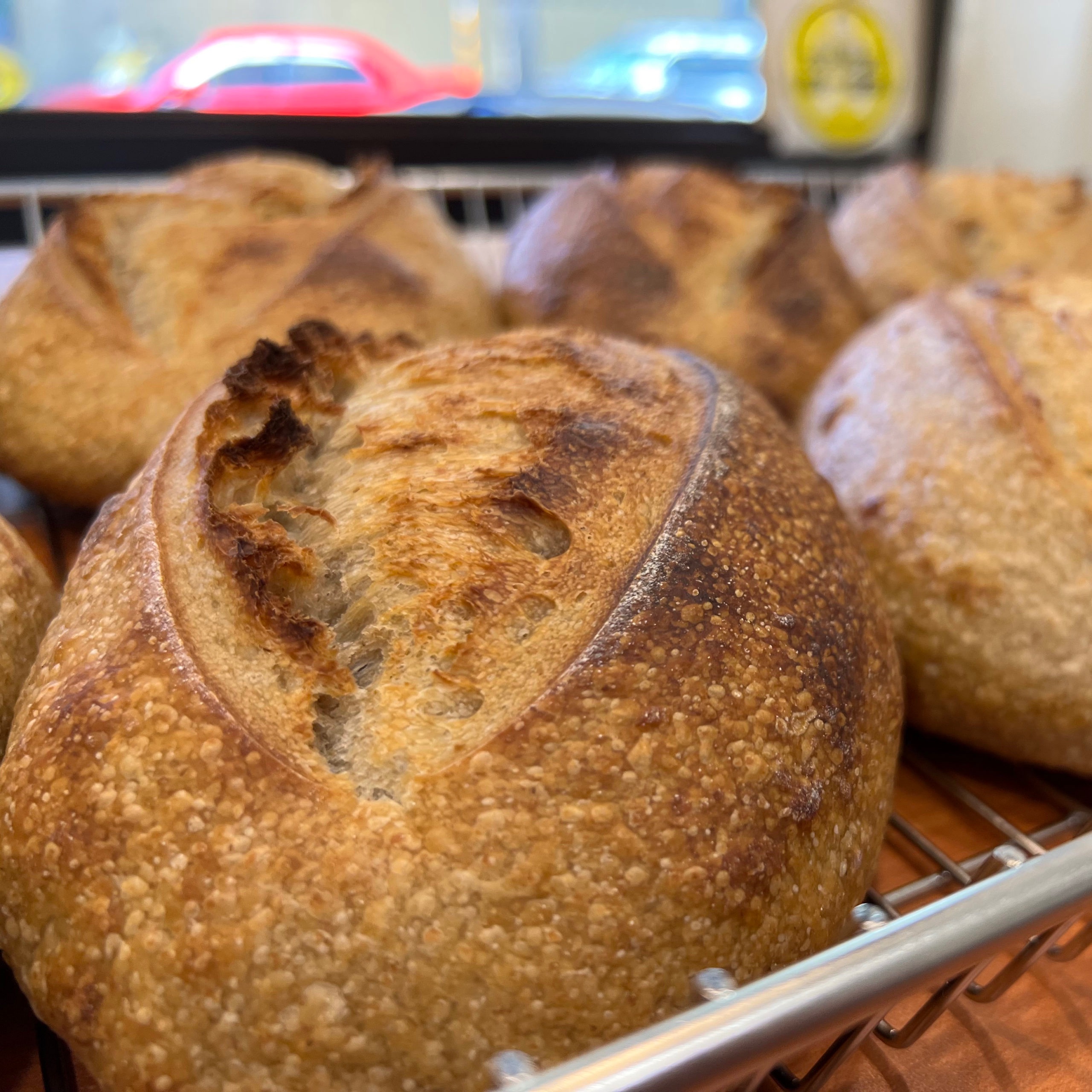 經典鄉村酸種麵包/Country bread