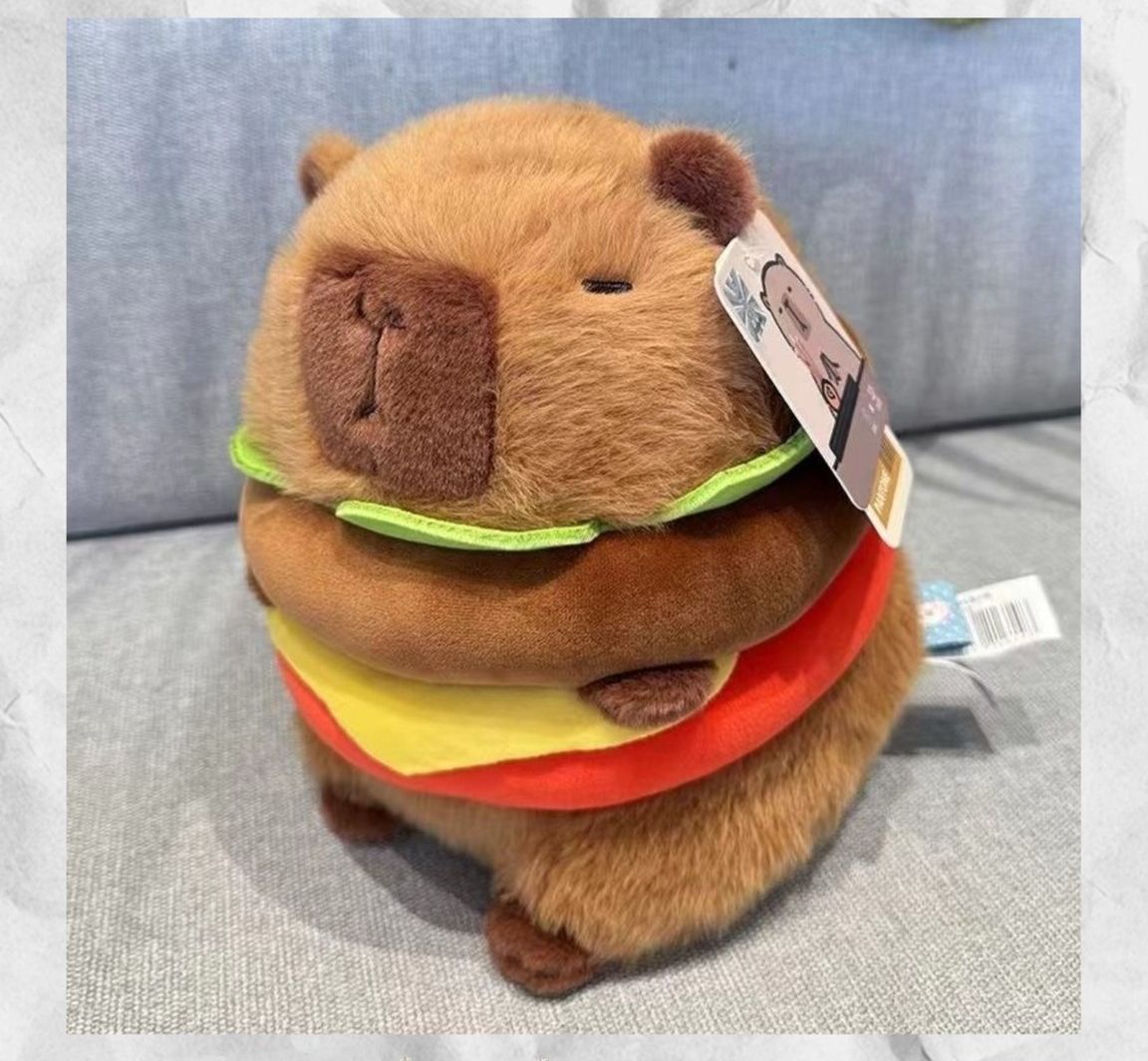 🐁🐁漢堡天竺鼠🐁🐁