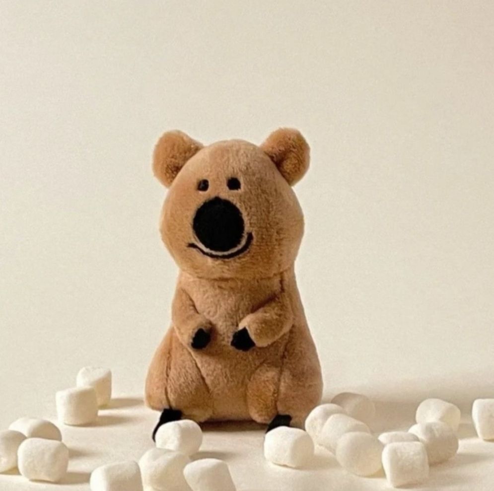 🐻🐻泰迪熊🐻🐻