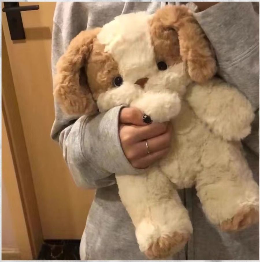 🐕🐕米白狗狗🐕🐕