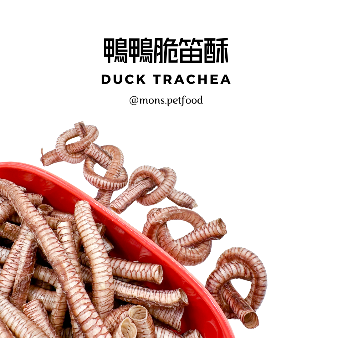 💜 鴨鴨脆笛酥