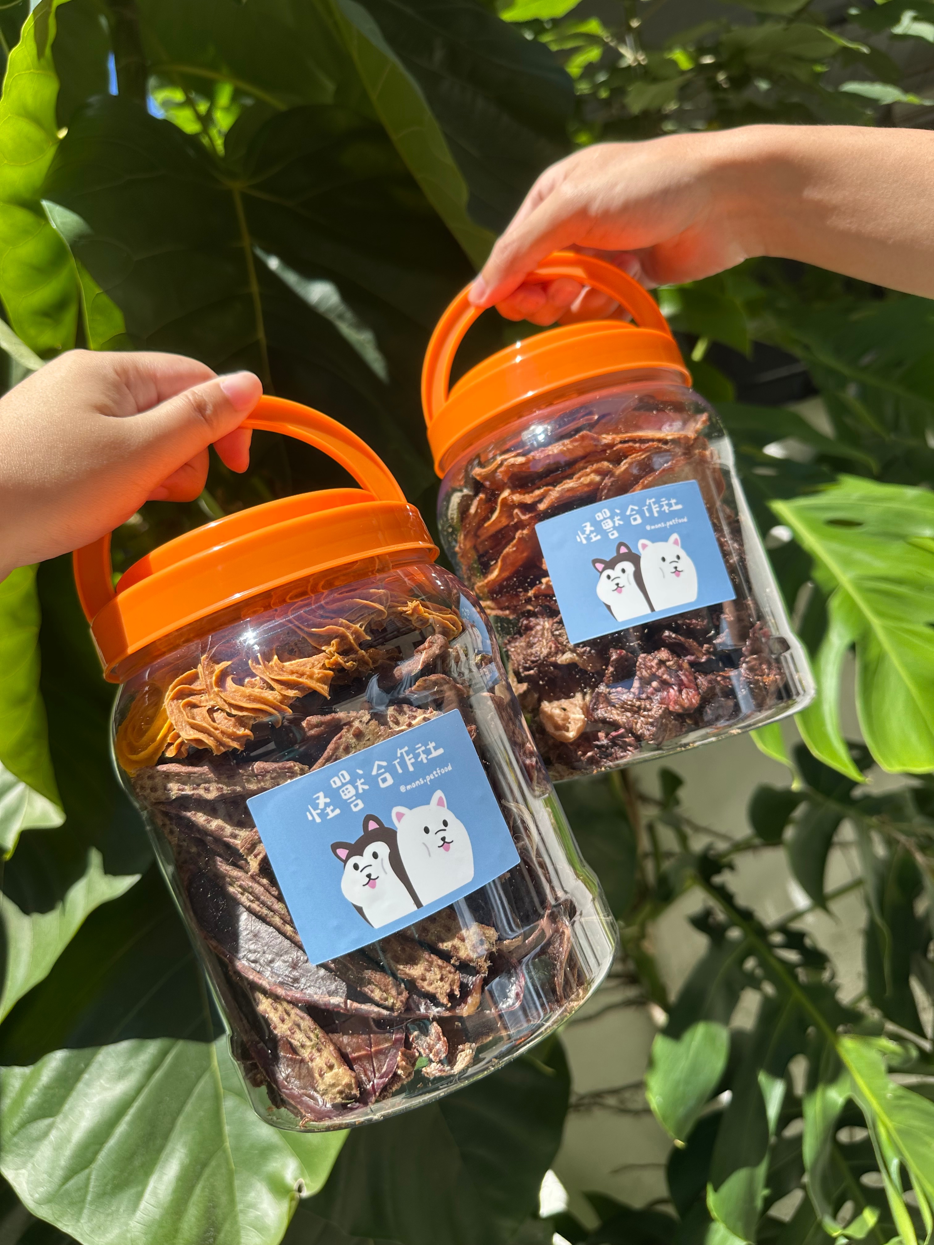 💜 毛孩乖乖桶