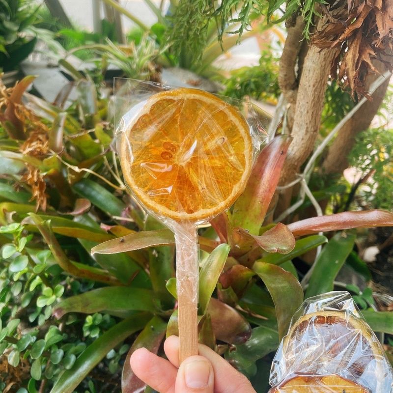 雲林名產/雲林伴手禮 *柳丁棒棒糖（無糖）